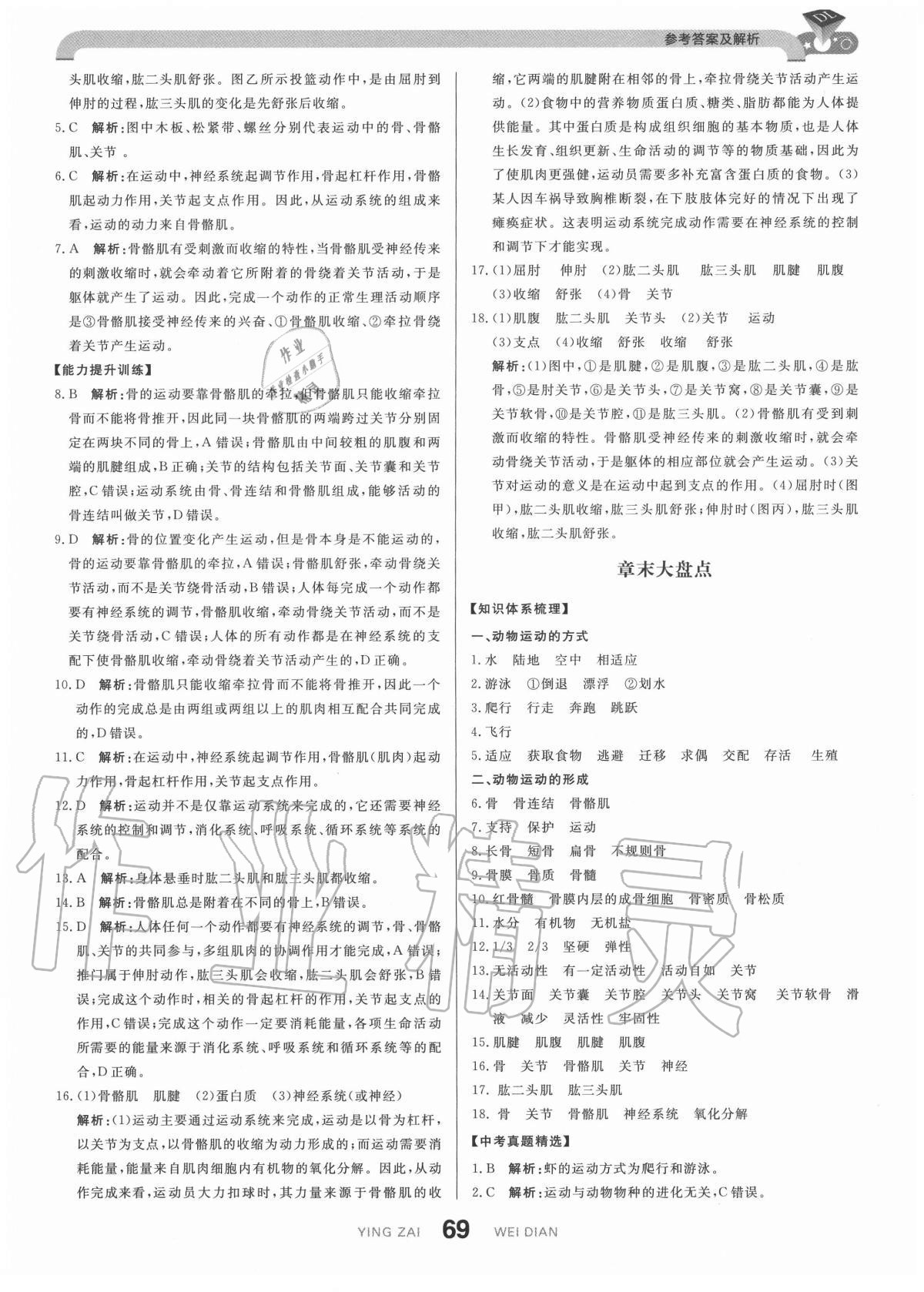 2020年抖練吧八年級生物上冊北師大版 參考答案第3頁