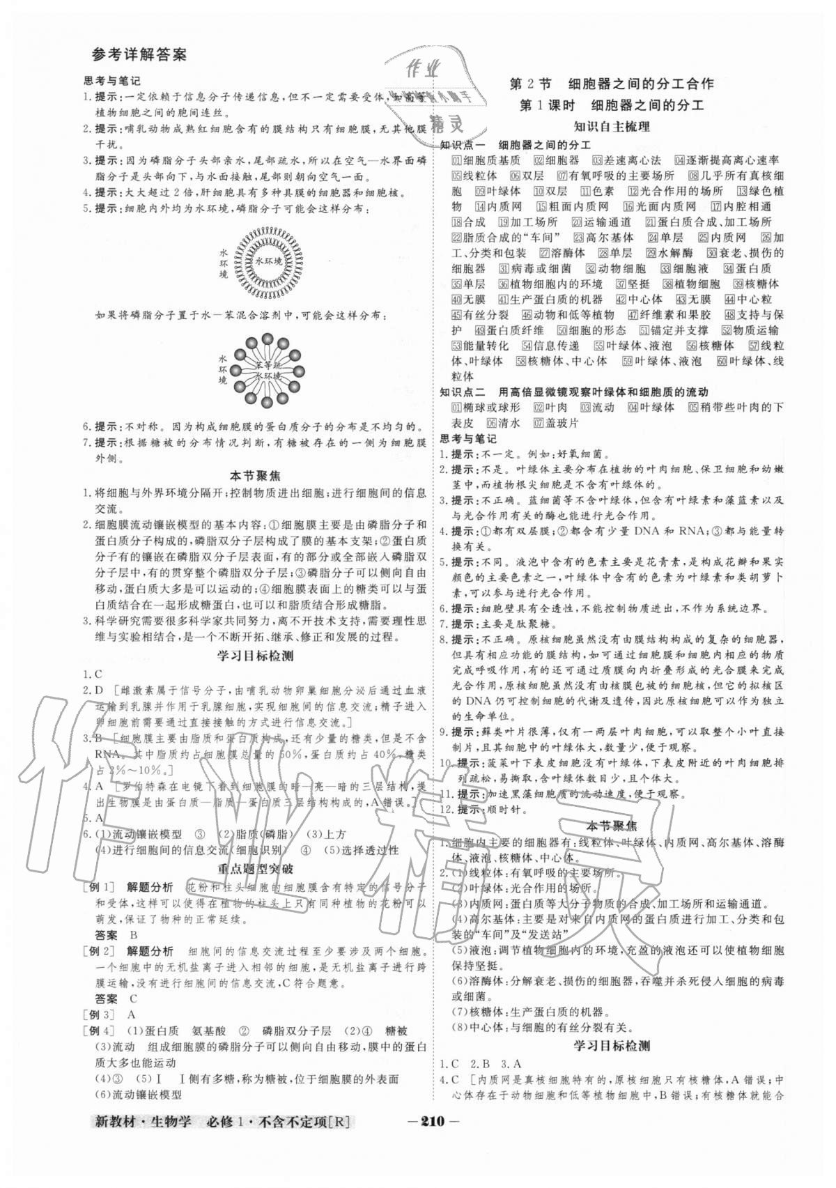 2020年金版教程高中新课程创新导学案生物学必修一人教版 参考答案第6页