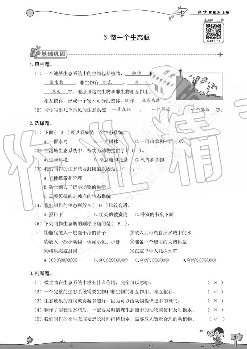 2020年雙全學(xué)業(yè)堂小學(xué)科學(xué)五年級(jí)上冊(cè)教科版 參考答案第11頁(yè)