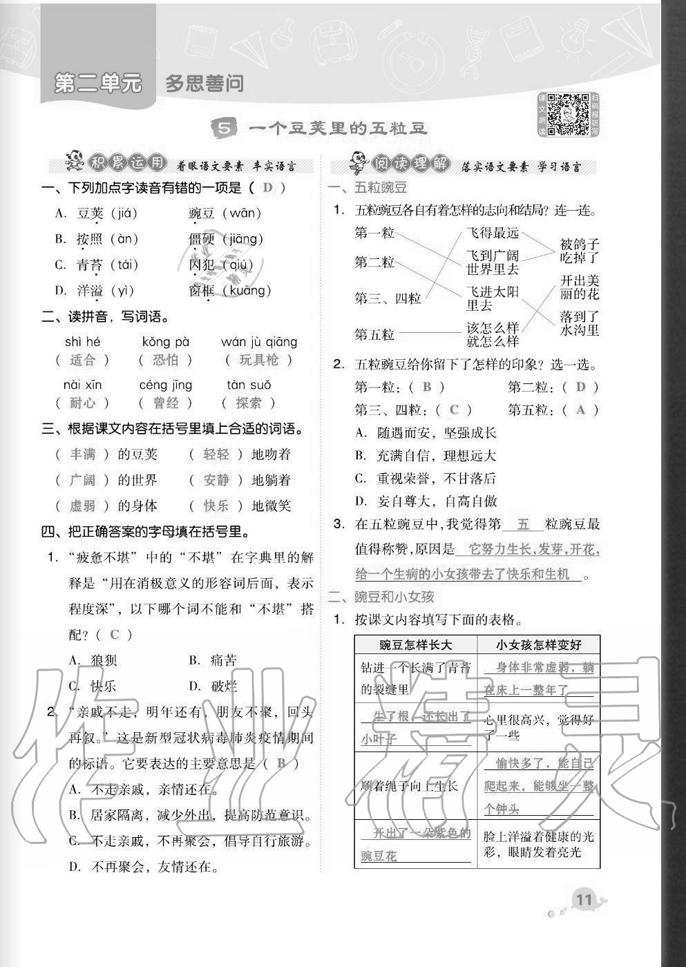 2020年綜合應(yīng)用創(chuàng)新題典中點(diǎn)四年級語文上冊人教版福建專版 參考答案第11頁