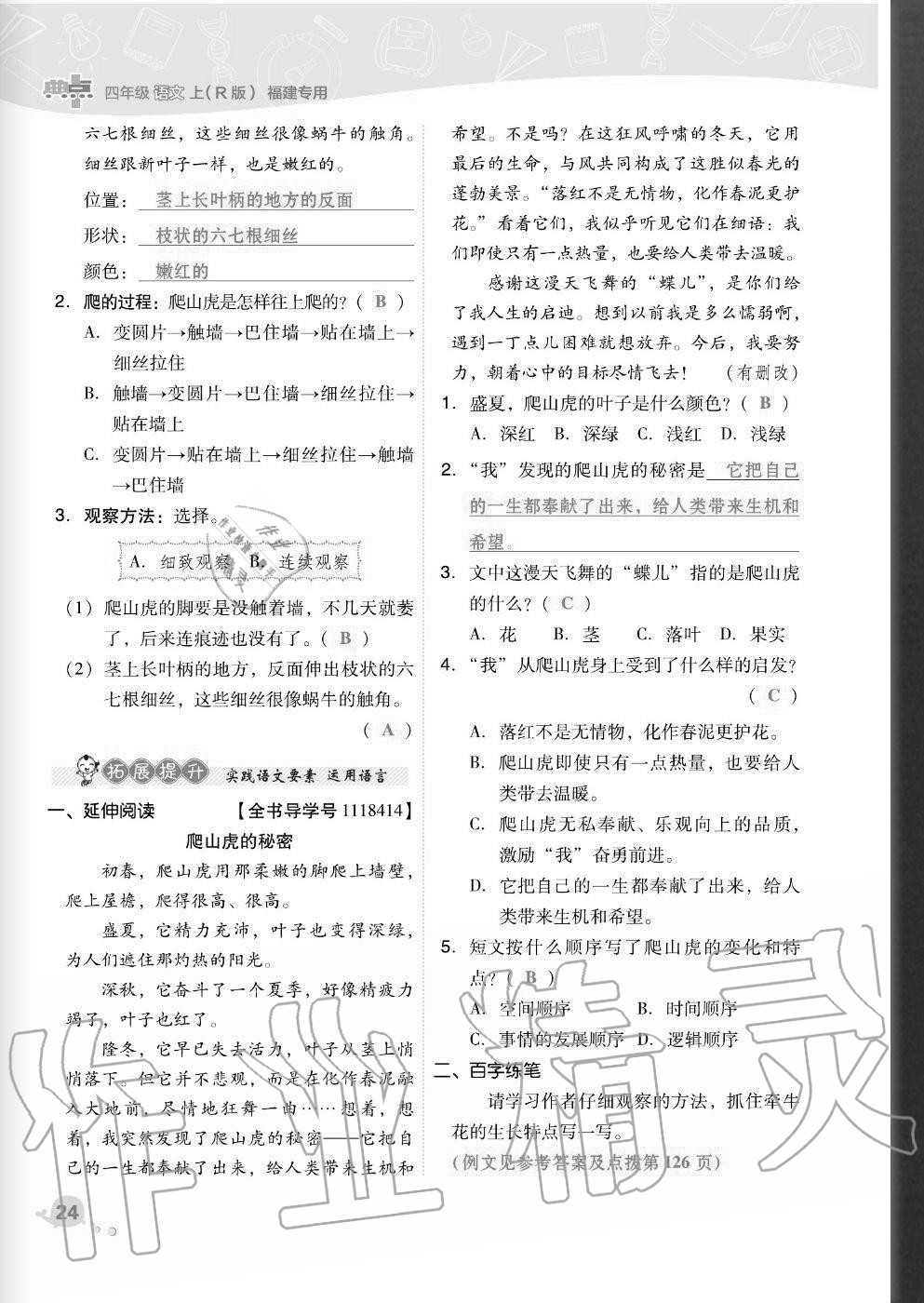 2020年綜合應(yīng)用創(chuàng)新題典中點(diǎn)四年級語文上冊人教版福建專版 參考答案第24頁