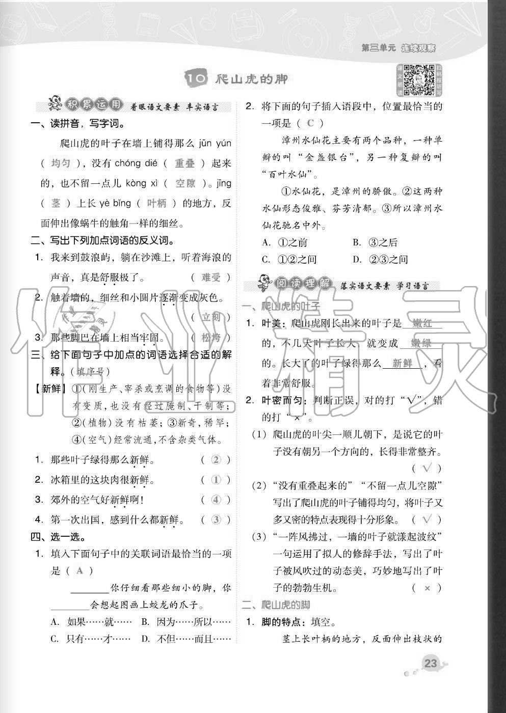 2020年综合应用创新题典中点四年级语文上册人教版福建专版 参考答案第23页