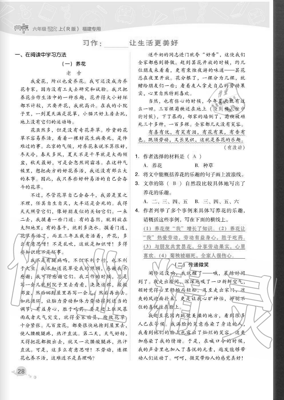 2020年綜合應(yīng)用創(chuàng)新題典中點(diǎn)六年級(jí)語文上冊(cè)人教版福建專版 參考答案第28頁