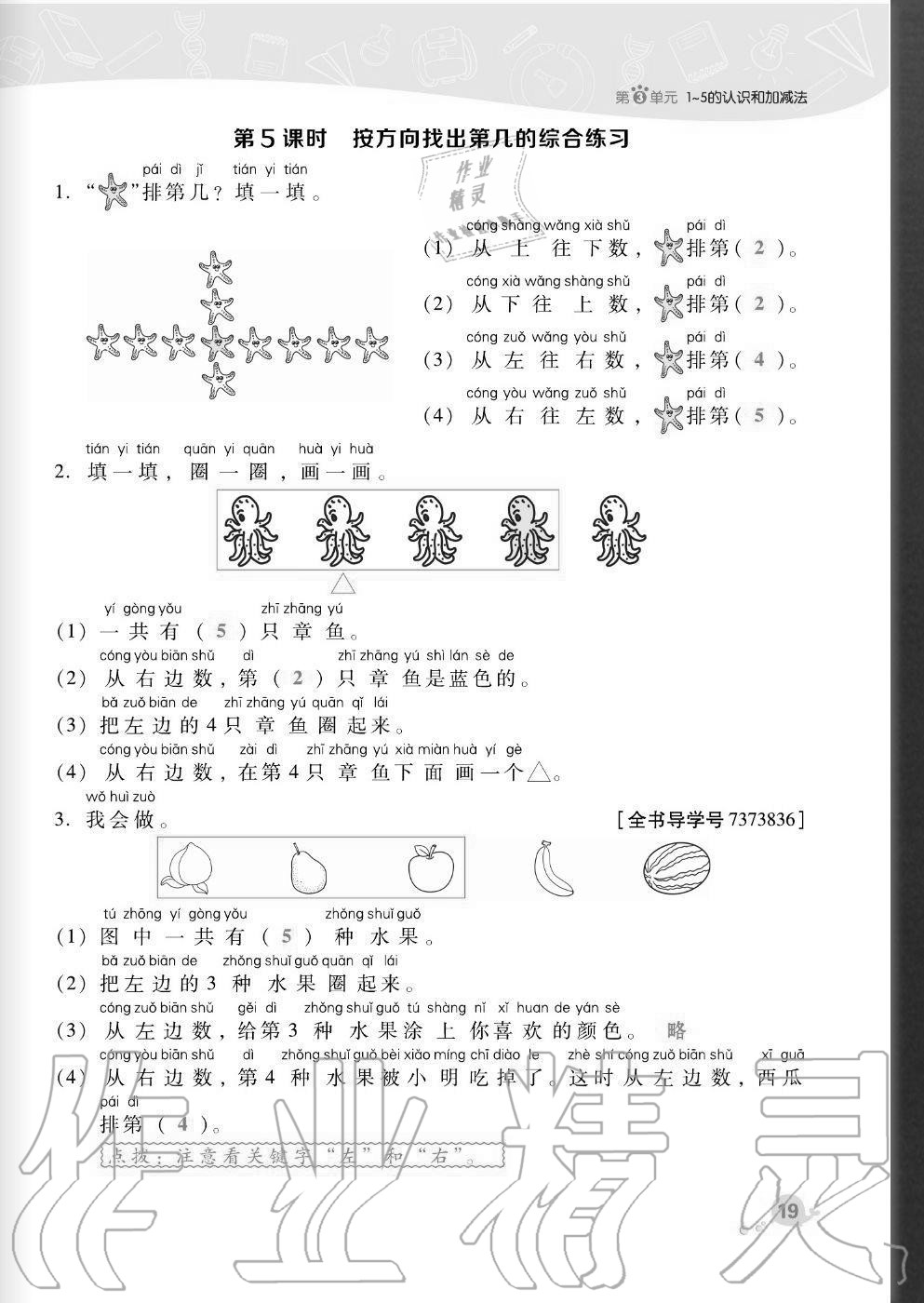 2020年綜合應(yīng)用創(chuàng)新題典中點一年級數(shù)學(xué)上冊人教版福建專版 參考答案第19頁