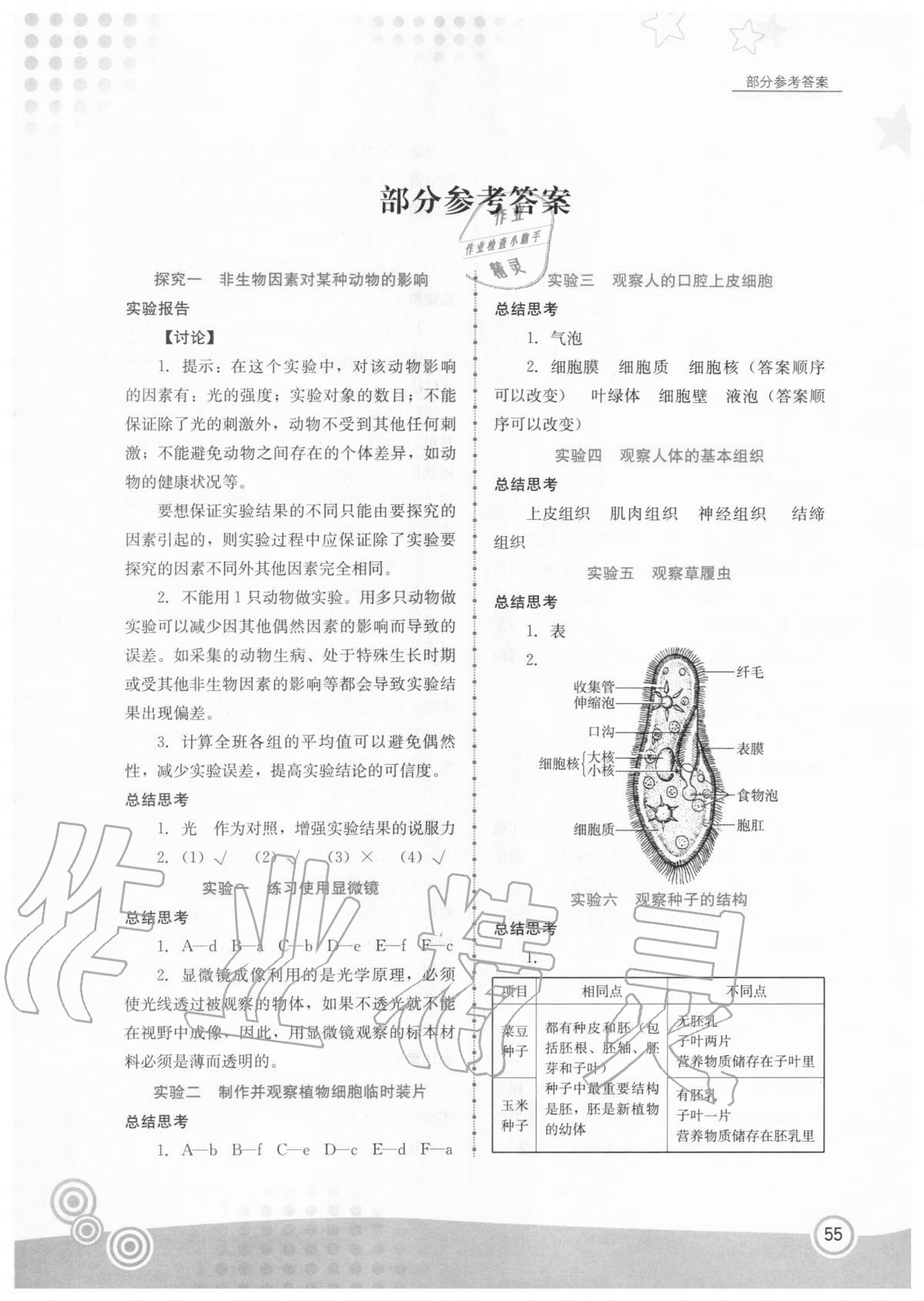 2020年生物實(shí)驗(yàn)冊(cè)七年級(jí)上冊(cè)人教版 參考答案第1頁