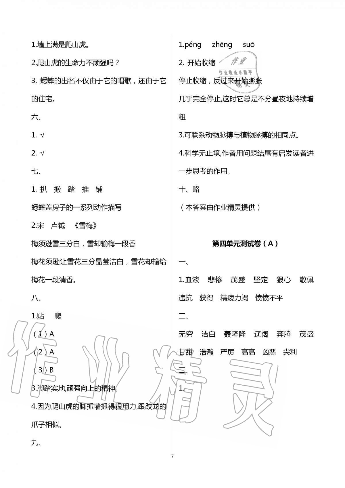 2020年歡樂(lè)校園小學(xué)語(yǔ)文成長(zhǎng)大本營(yíng)四年級(jí)上冊(cè)人教版 第7頁(yè)