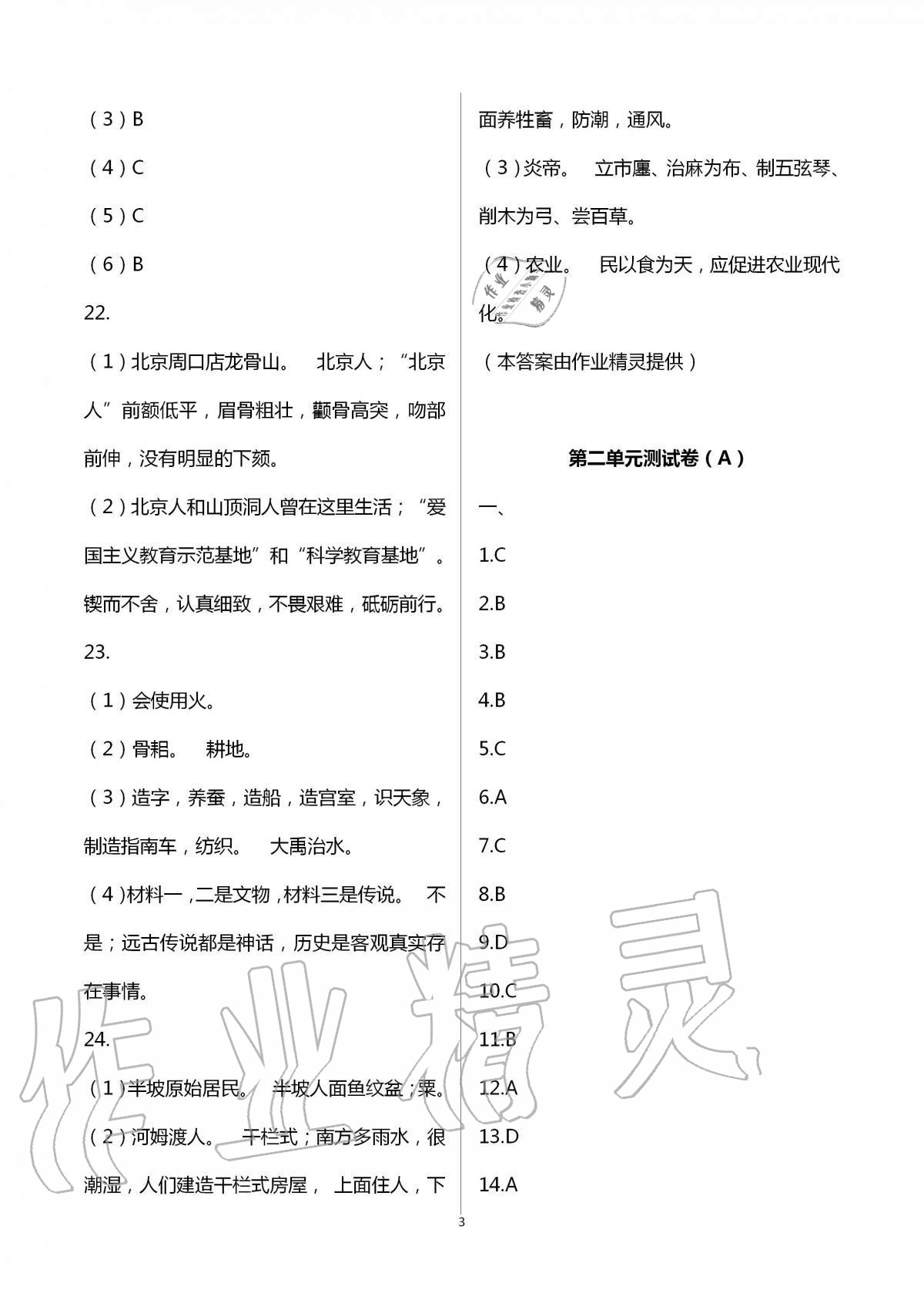 2020年阳光互动绿色成长空间七年级历史上册人教版提优版 第3页