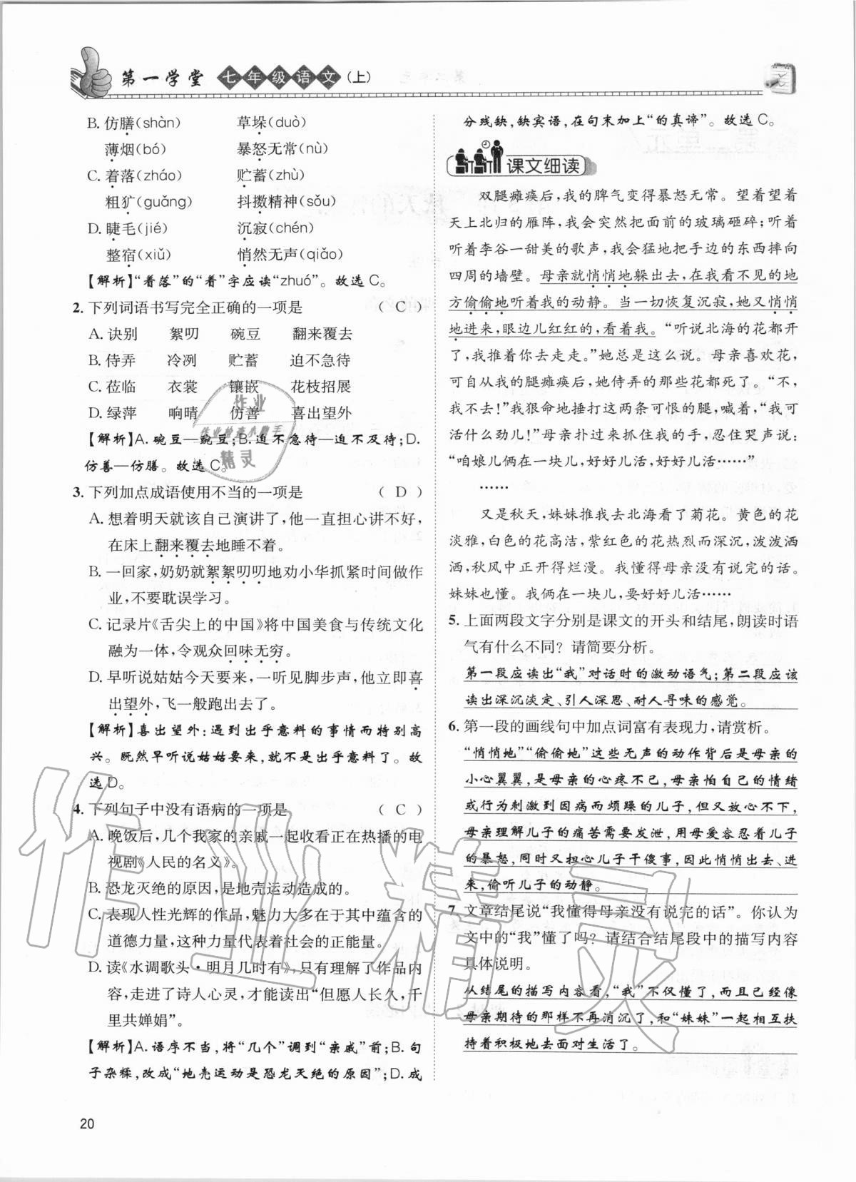 2020年第一學(xué)堂七年級(jí)語(yǔ)文上冊(cè)人教版 參考答案第20頁(yè)