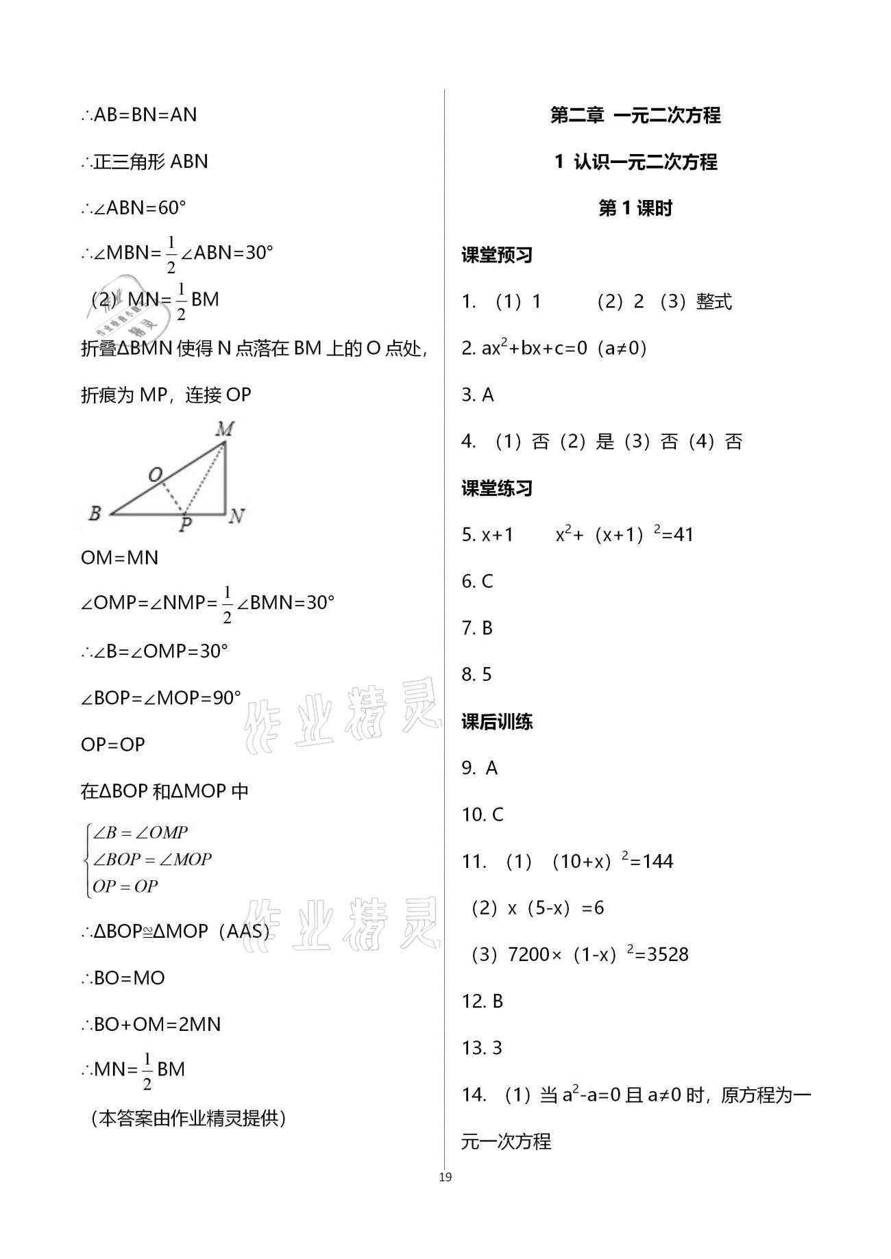 2020年基礎(chǔ)訓(xùn)練九年級(jí)數(shù)學(xué)全一冊(cè)北師大版大象出版社 參考答案第19頁(yè)