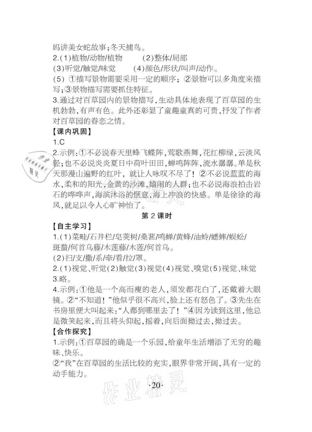 2020年課程導報七年級語文上冊人教版 參考答案第20頁