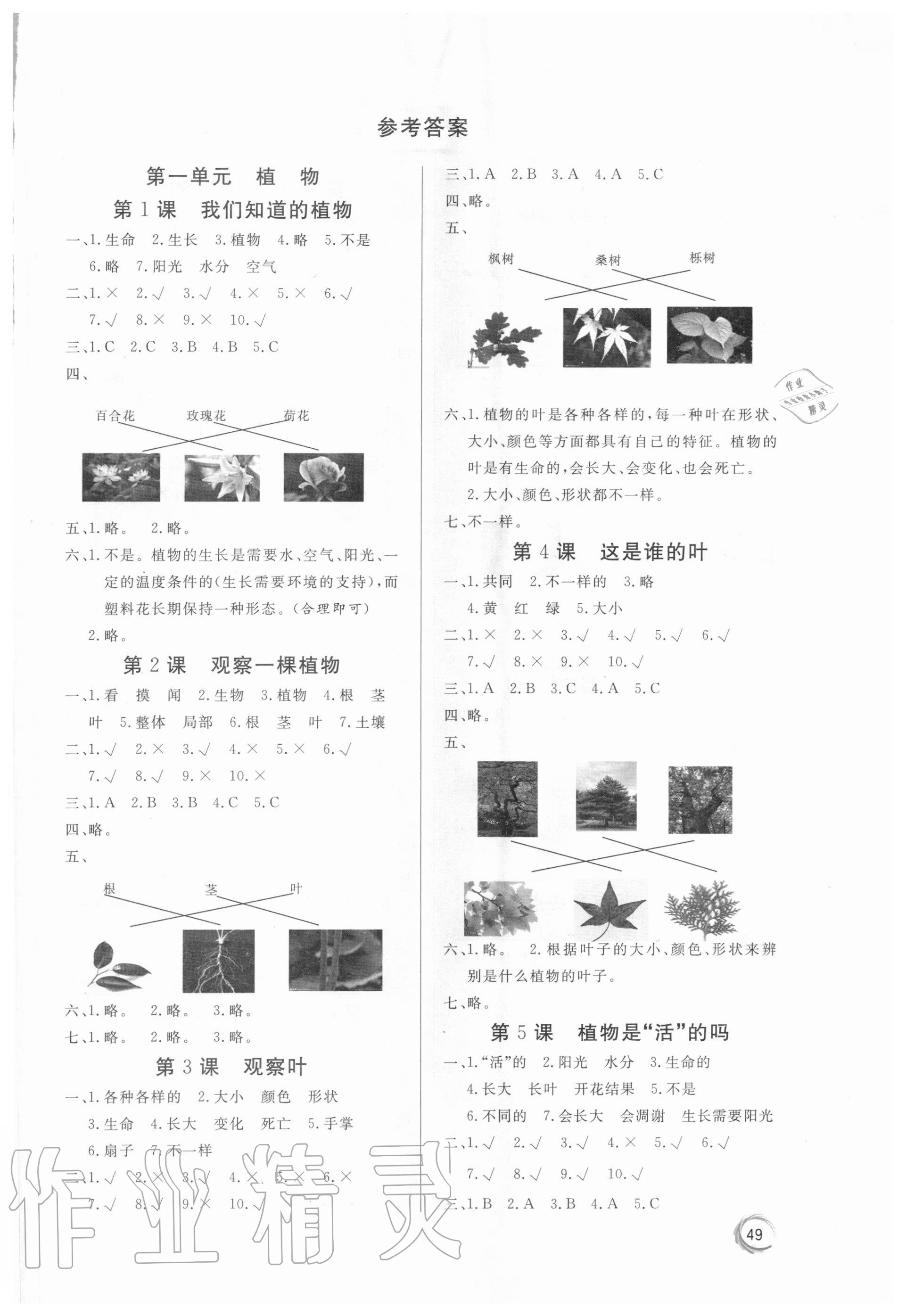 2020年課堂練習一年級科學上冊教科版 第1頁