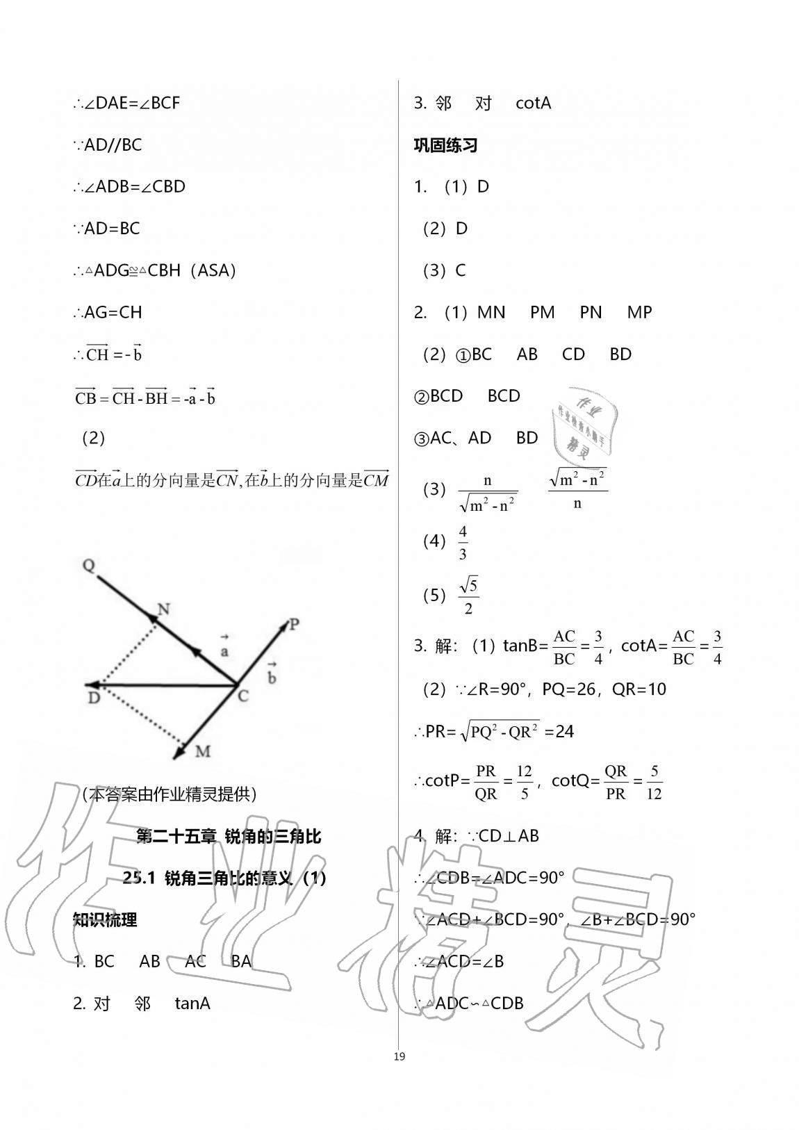 2020年同步學(xué)堂九年級(jí)數(shù)學(xué)全一冊(cè)滬教版54制 第19頁(yè)