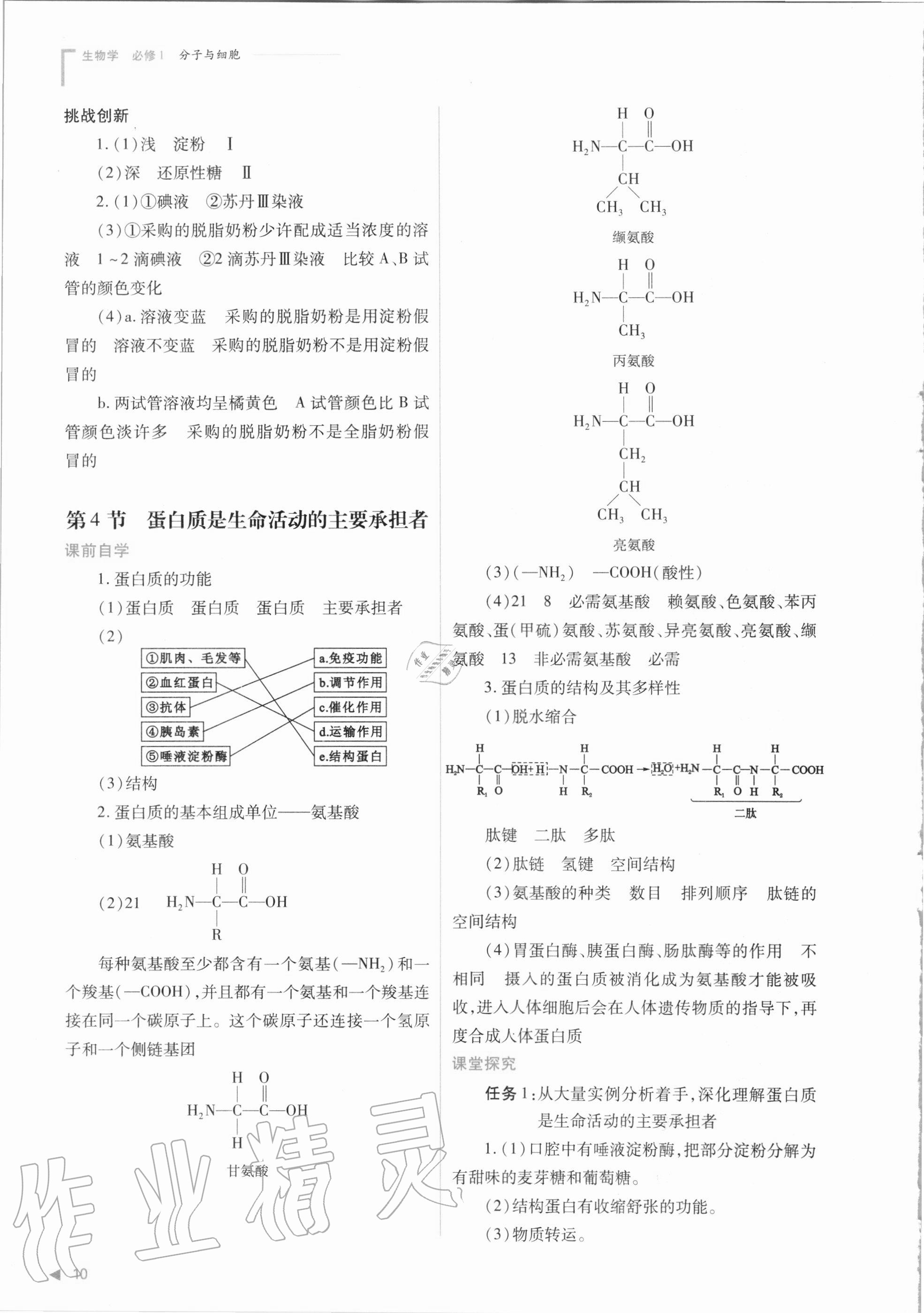 2020年普通高中新課程同步練習(xí)冊(cè)生物學(xué)必修1分子與細(xì)胞人教版 參考答案第10頁(yè)