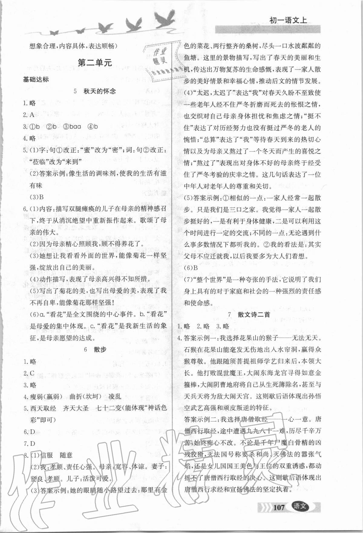 2020年同步檢測(cè)三級(jí)跳初一語文上冊(cè)人教版 第3頁