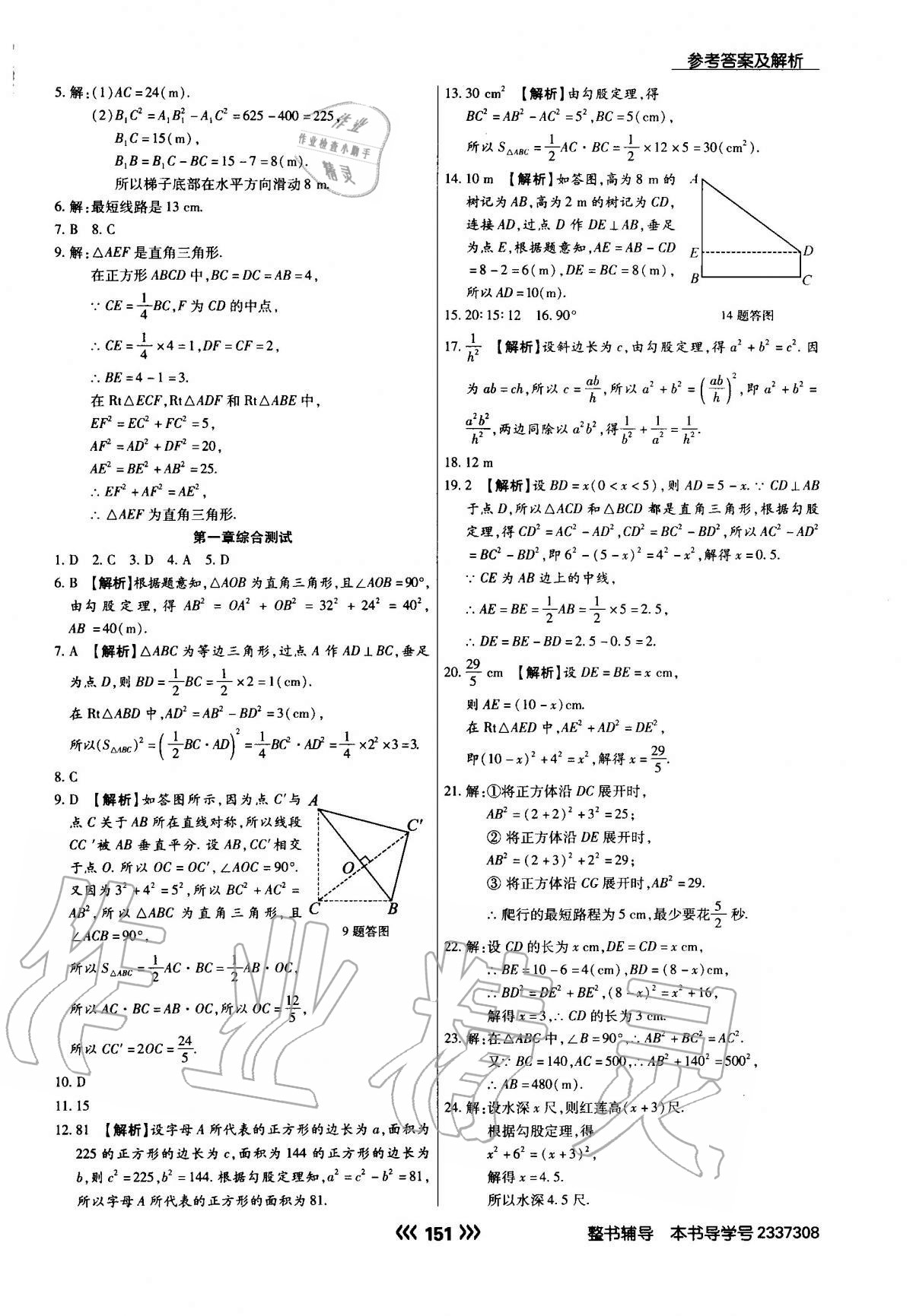 2020年學(xué)升同步練測(cè)八年級(jí)數(shù)學(xué)上冊(cè)北師大版 參考答案第3頁(yè)