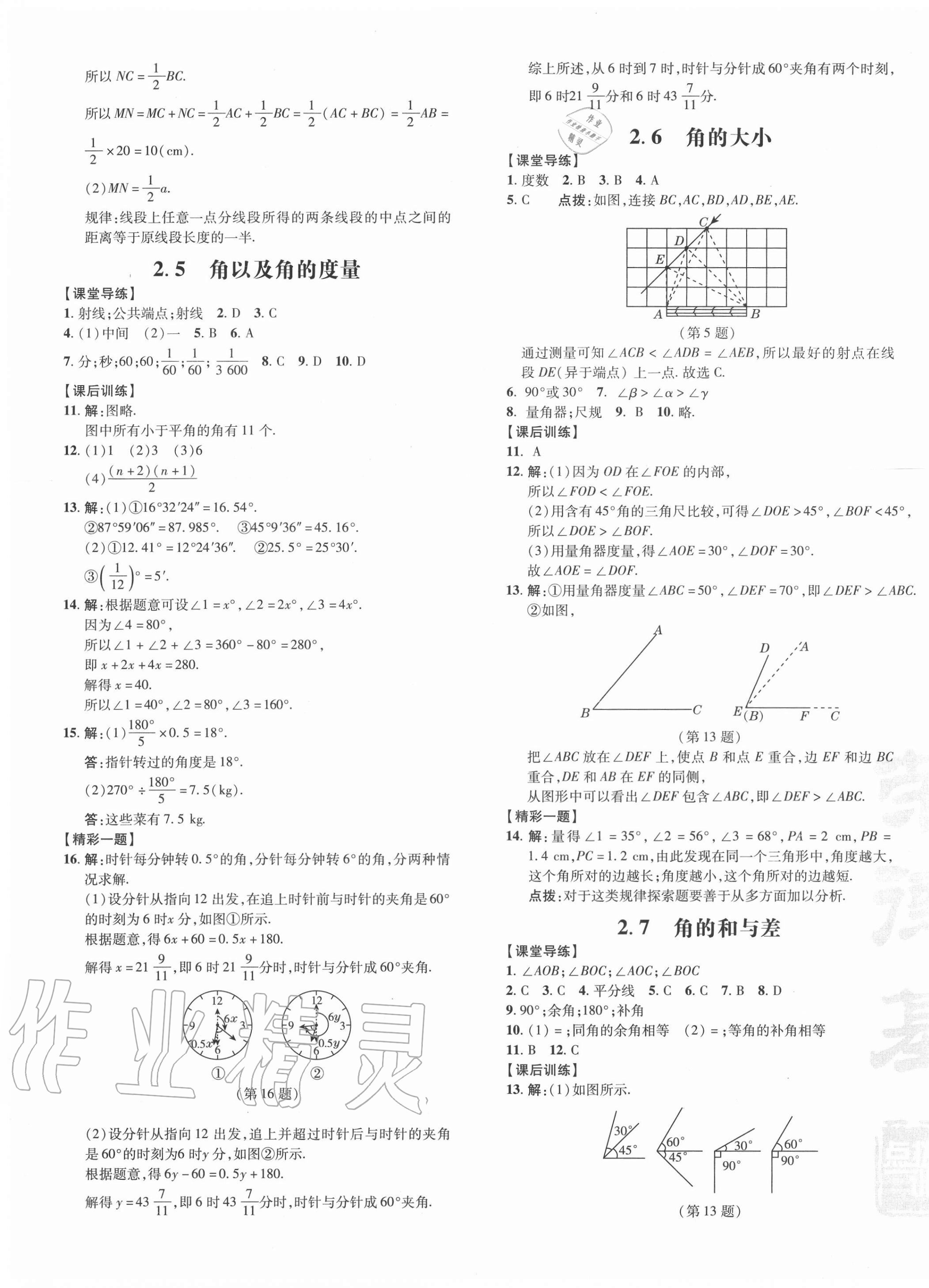 2020年点拨训练七年级数学上册冀教版河北专版 参考答案第9页