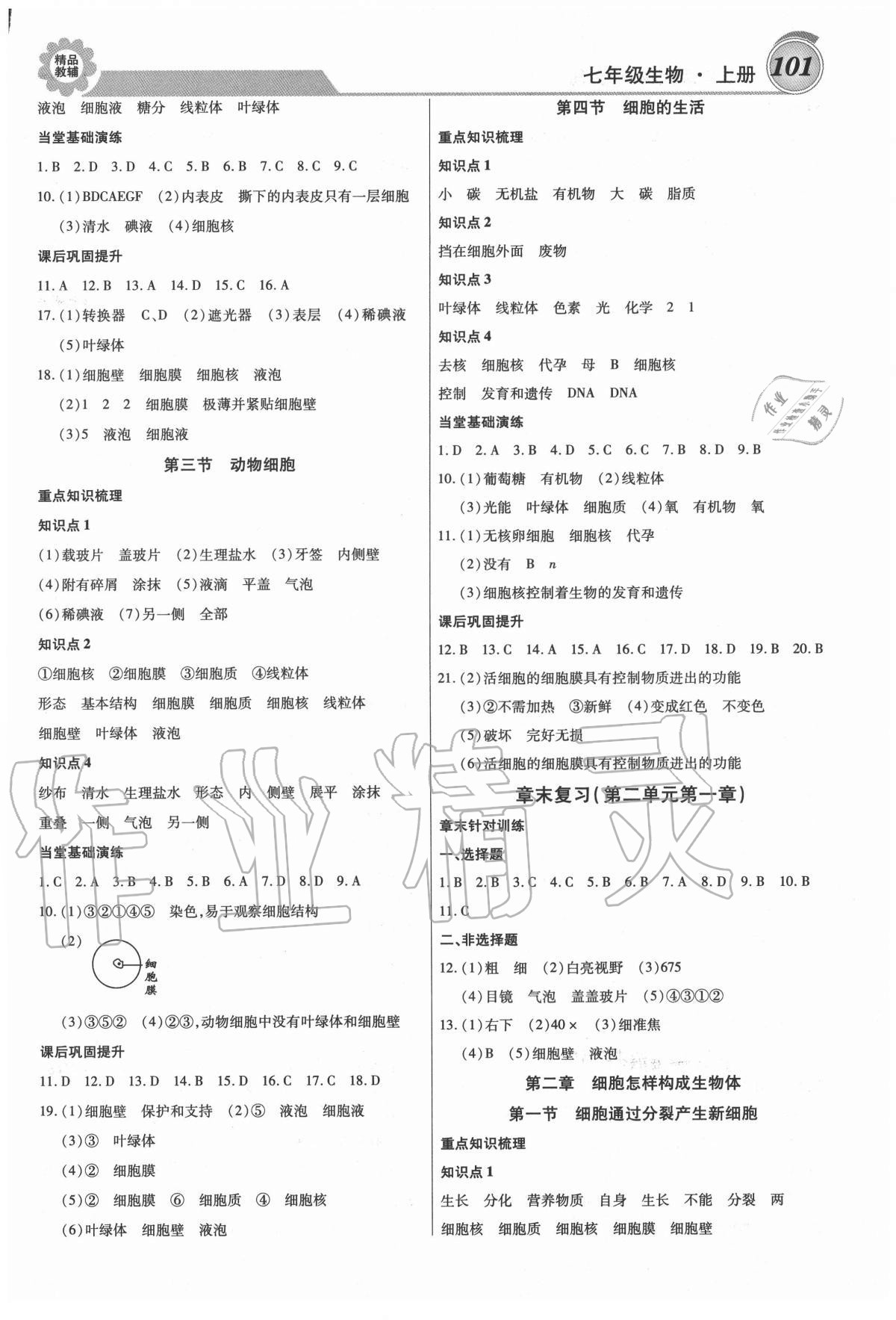 2020年練重點(diǎn)七年級(jí)生物上冊(cè)人教版 參考答案第3頁