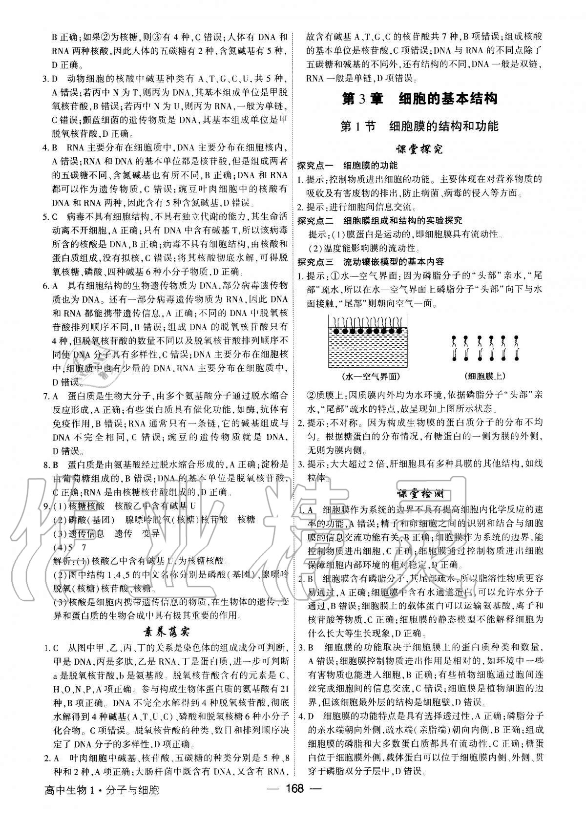 2020年红对勾讲与练高中生物必修1分子与细胞人教版 第6页