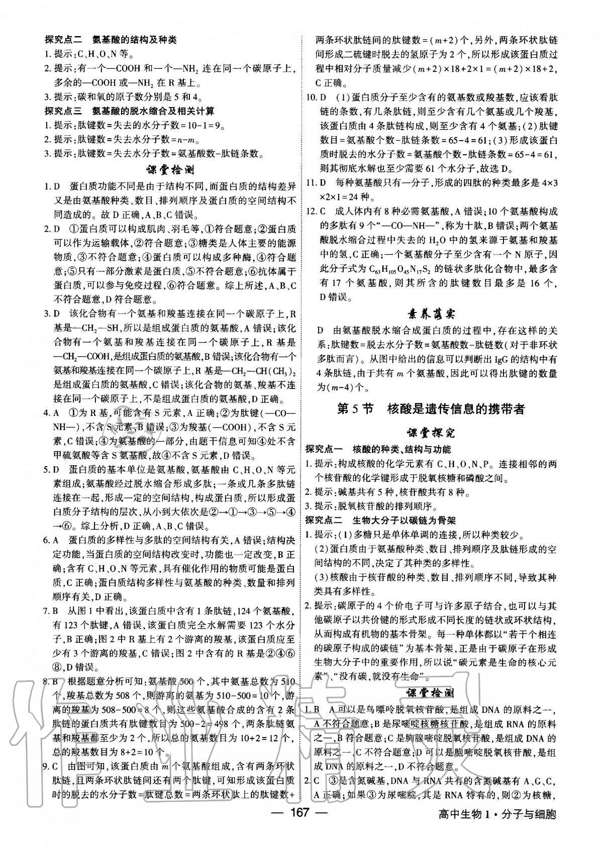 2020年红对勾讲与练高中生物必修1分子与细胞人教版 第5页