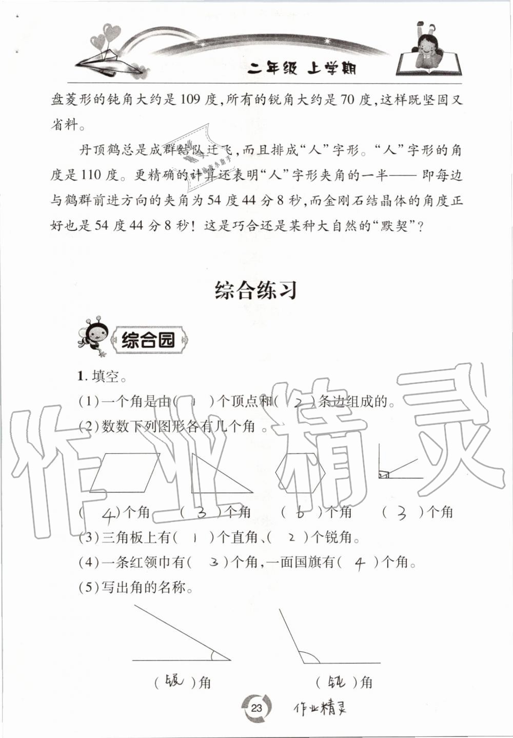 2020年新課堂同步學習與探究二年級數(shù)學上學期青島版54制 參考答案第23頁