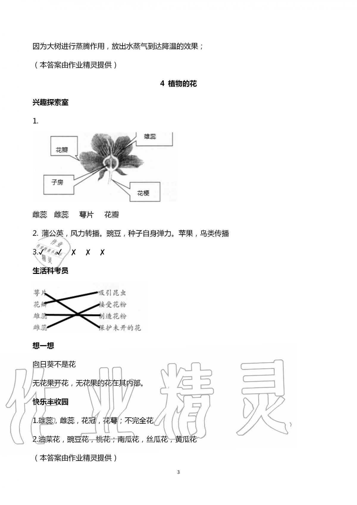 2020年新課堂同步學習與探究三年級科學上冊泰安專版青島版54制 第3頁