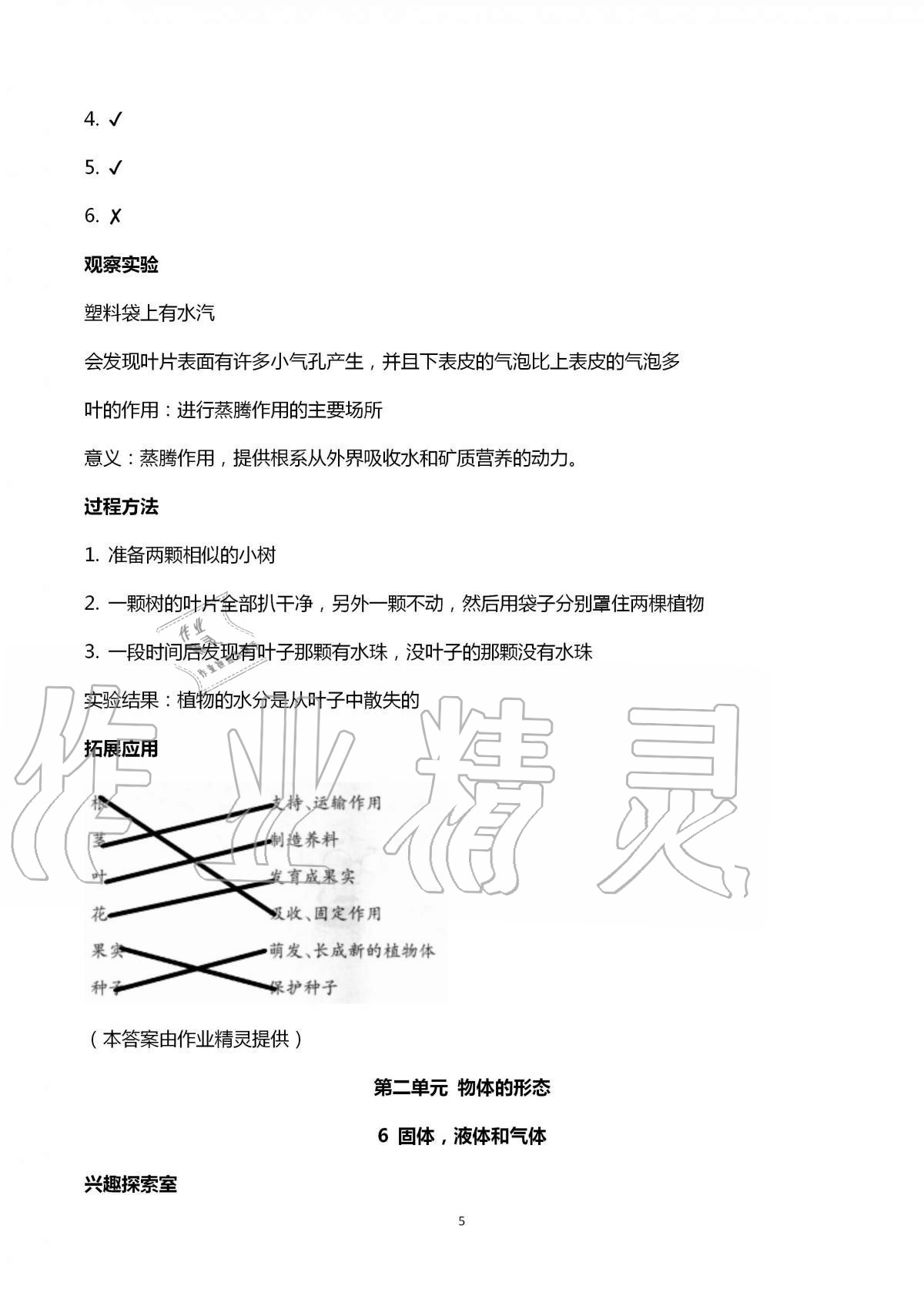 2020年新课堂同步学习与探究三年级科学上册泰安专版青岛版54制 第5页