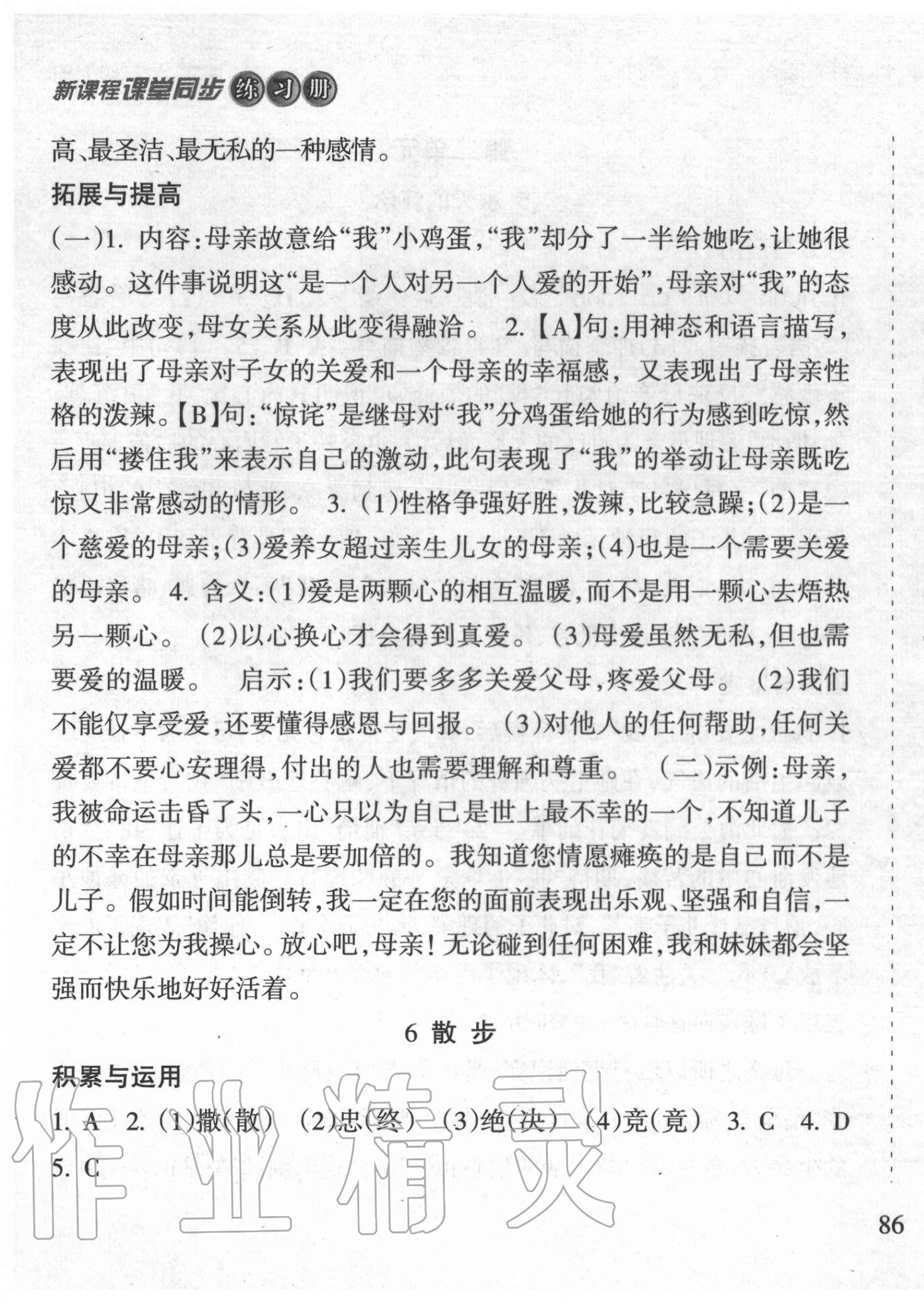 2020年新课程课堂同步练习册七年级语文上册人教版 第7页