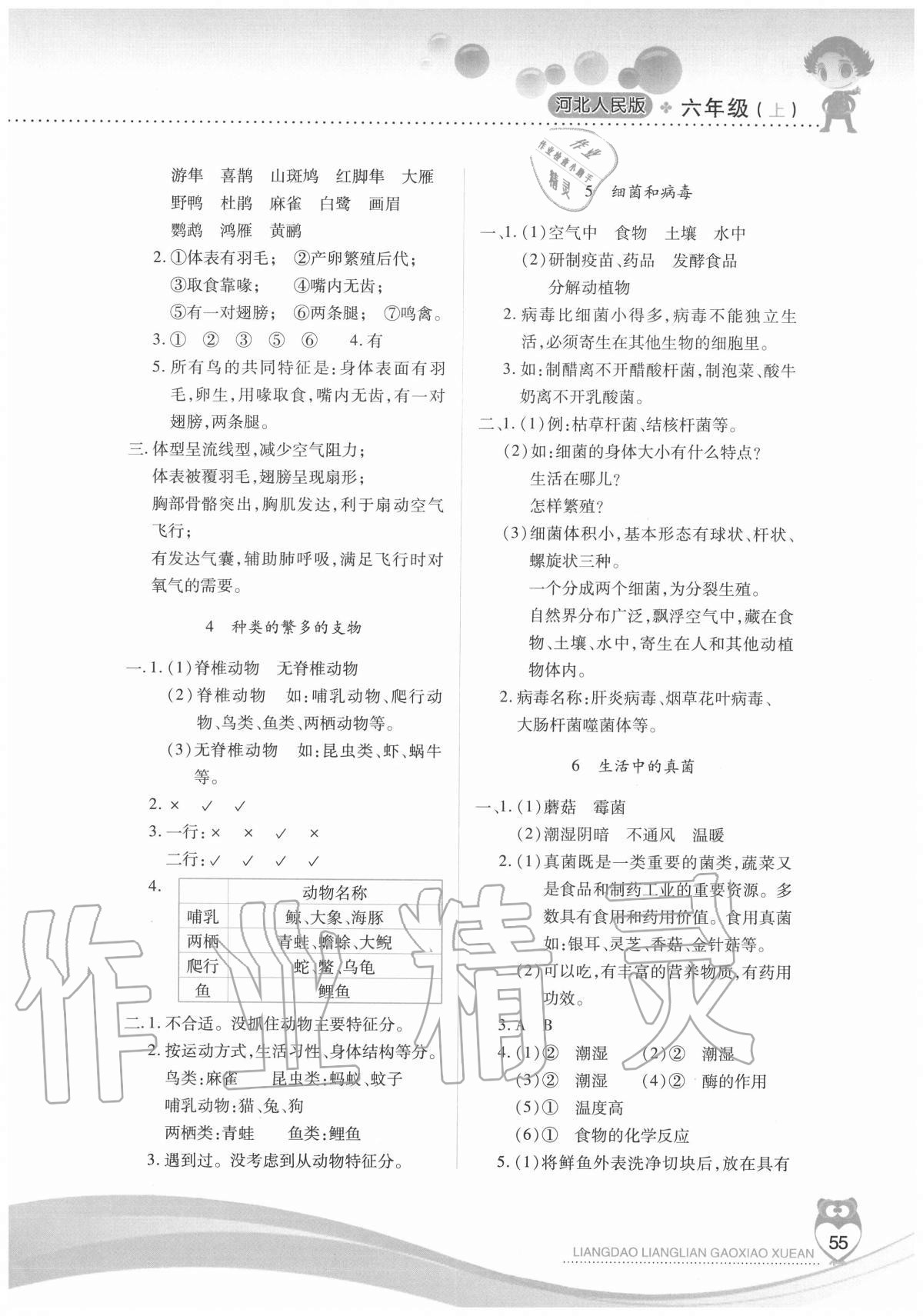 2020年新课标两导两练高效学案六年级科学上册冀人版 参考答案第2页