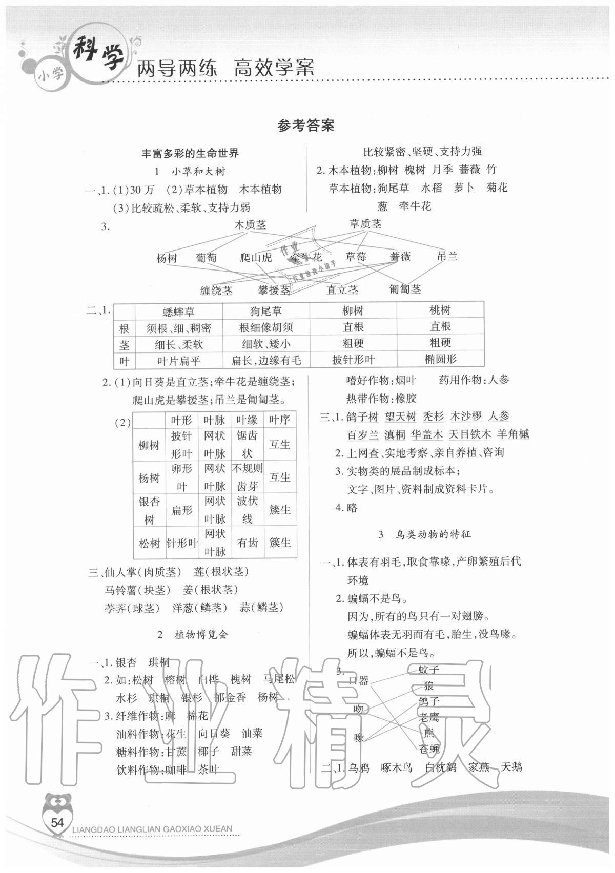 2020年新课标两导两练高效学案六年级科学上册冀人版 参考答案第1页