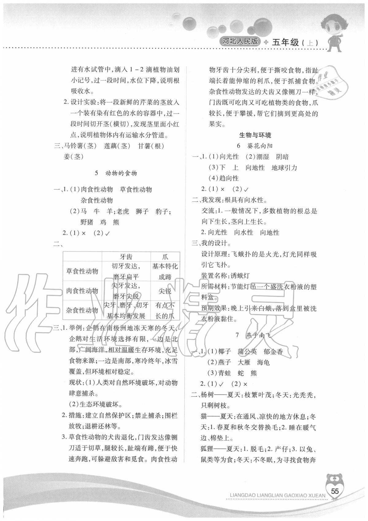 2020年新课标两导两练高效学案五年级科学上册冀人版 参考答案第2页