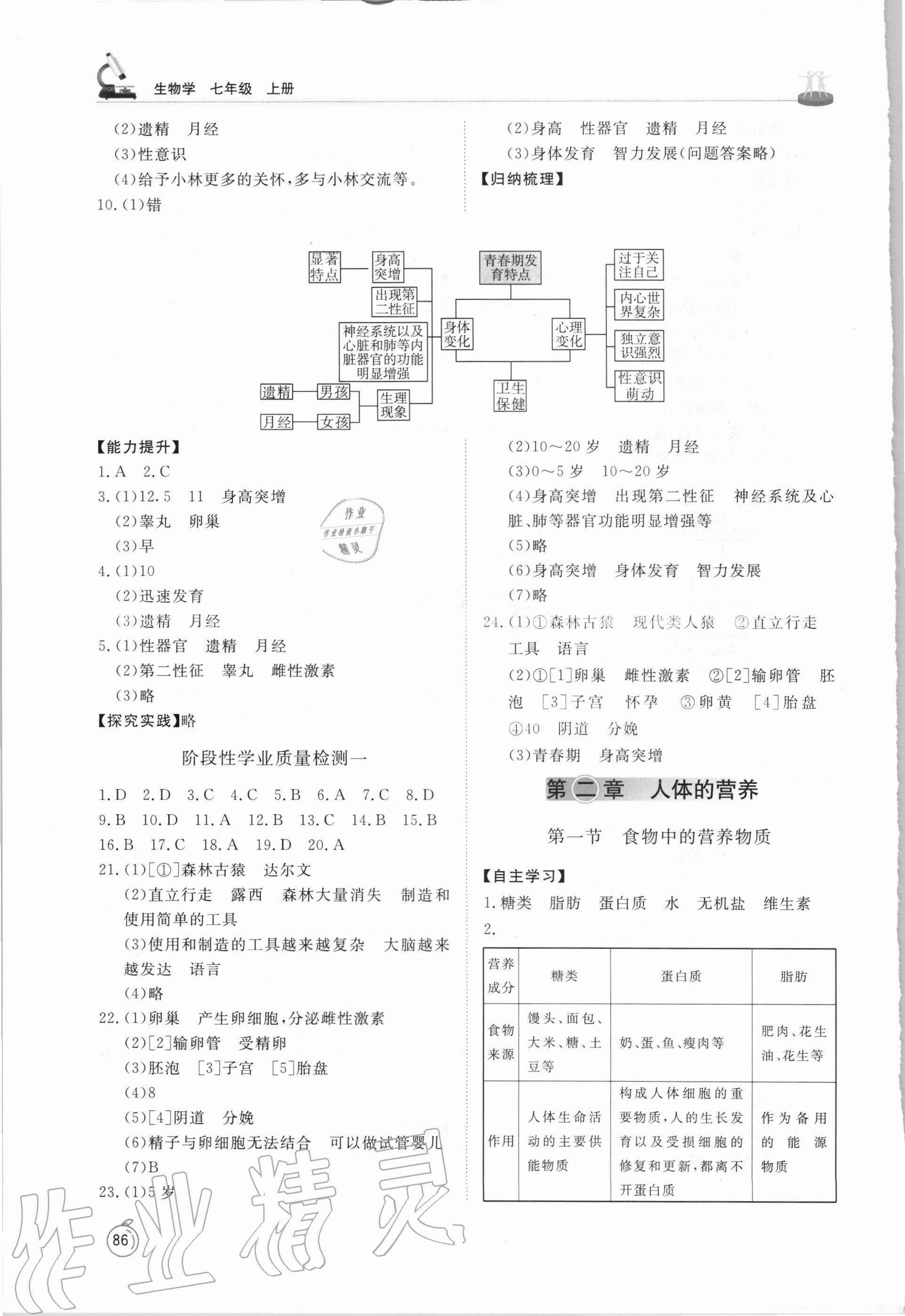 2020年初中同步練習(xí)冊七年級生物學(xué)上冊魯科版54制山東友誼出版社 第4頁