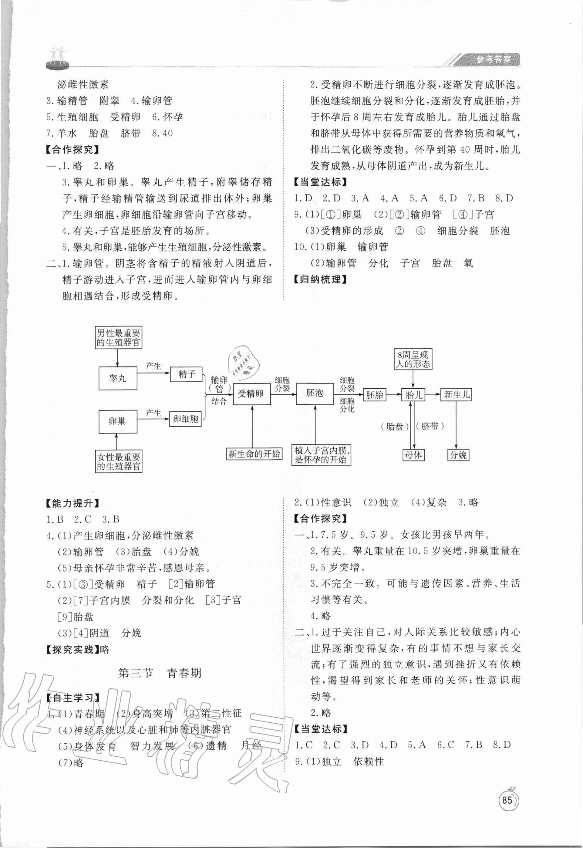 2020年初中同步練習(xí)冊七年級生物學(xué)上冊魯科版54制山東友誼出版社 第3頁