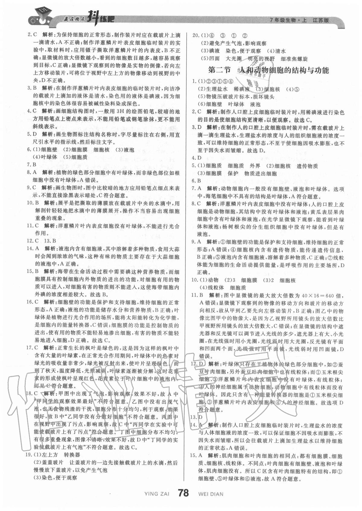 2020年抖練吧七年級生物上冊江蘇版 參考答案第4頁