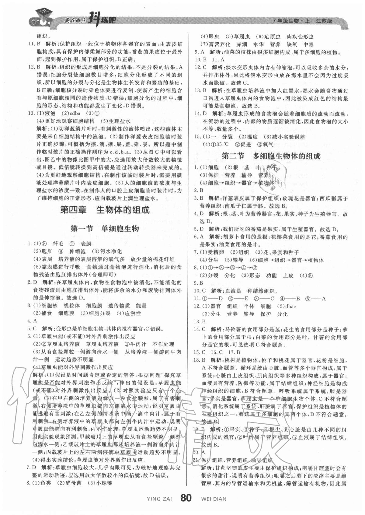 2020年抖練吧七年級生物上冊江蘇版 參考答案第6頁