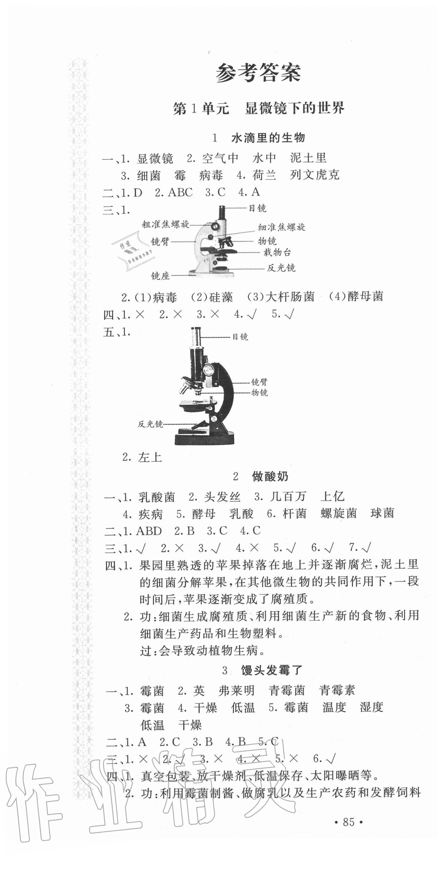 2020年新課堂同步訓(xùn)練六年級科學(xué)上冊江蘇版 第1頁