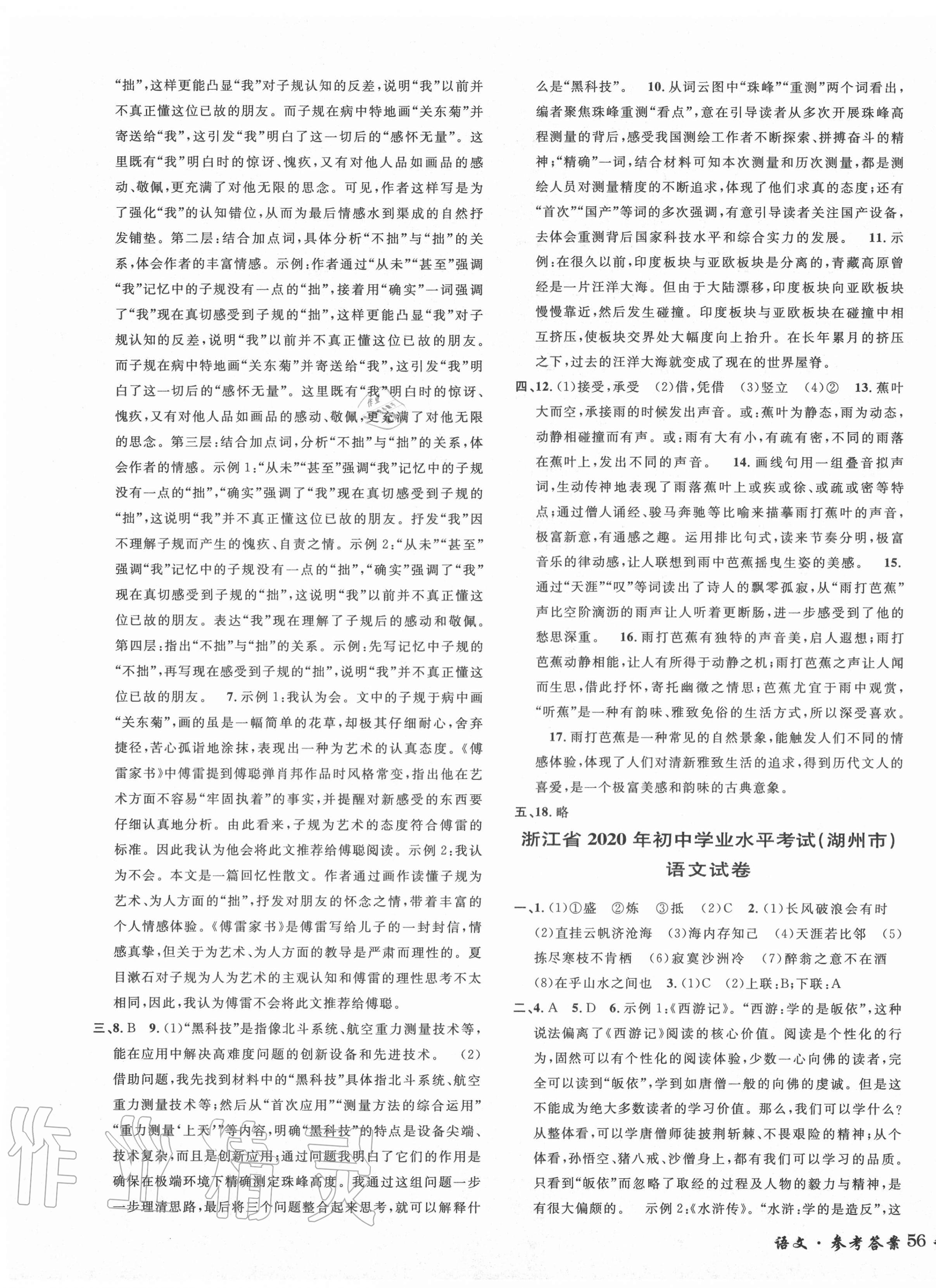 2020年3年中考试卷汇编中考考什么语文 第3页