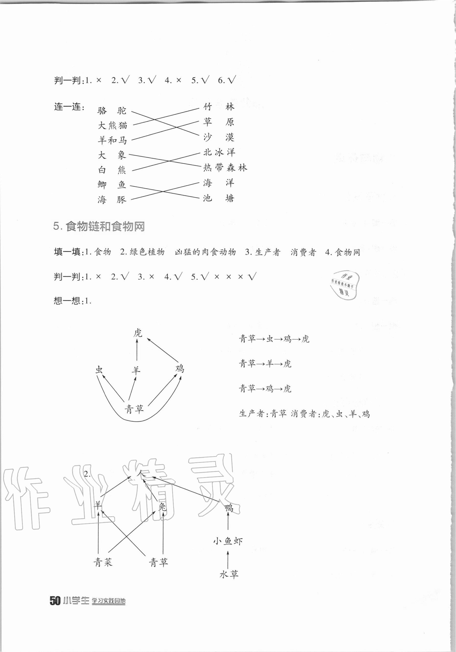 2020年小学生学习实践园地五年级科学上册教科版 第2页