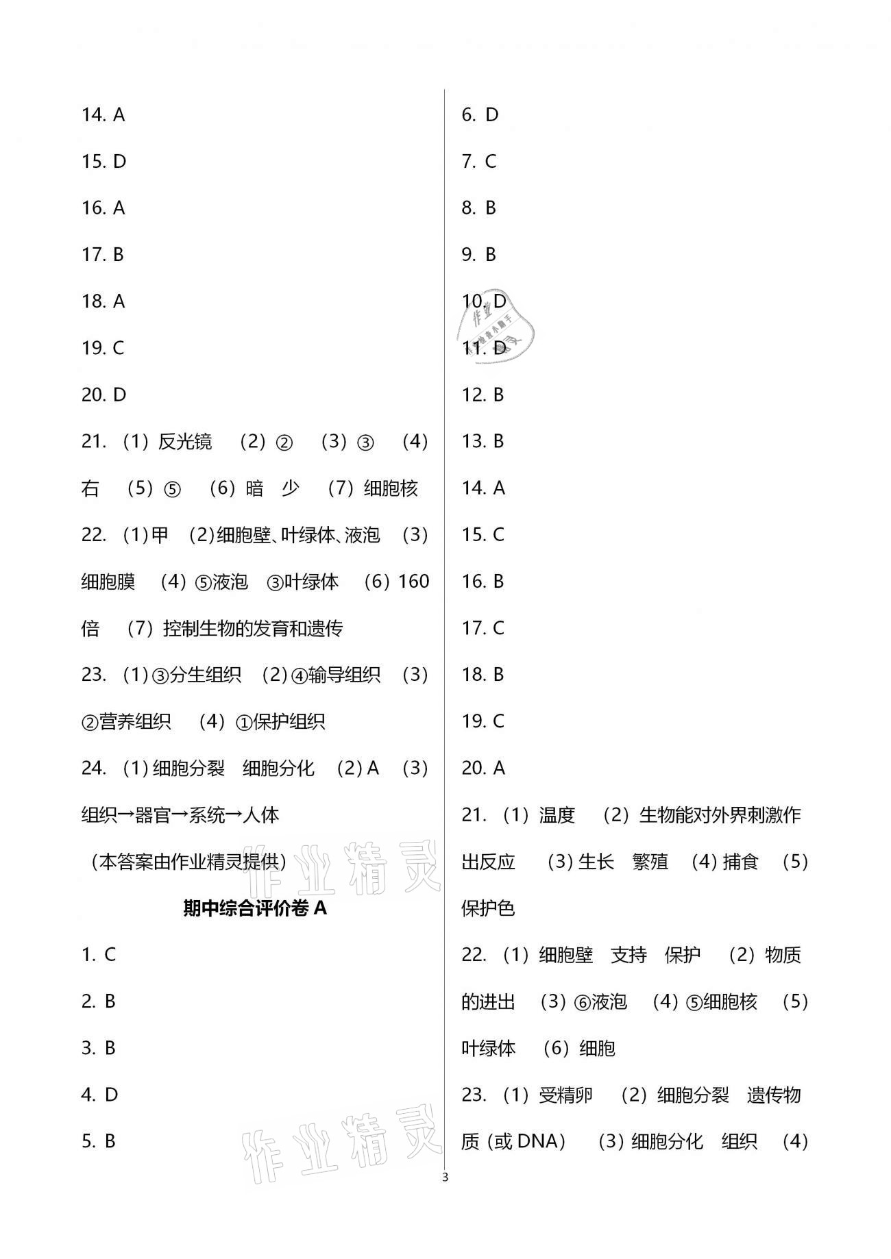 2020年新课标节节高单元评价与阶段月考试卷七年级生物学上册北师大版 参考答案第3页