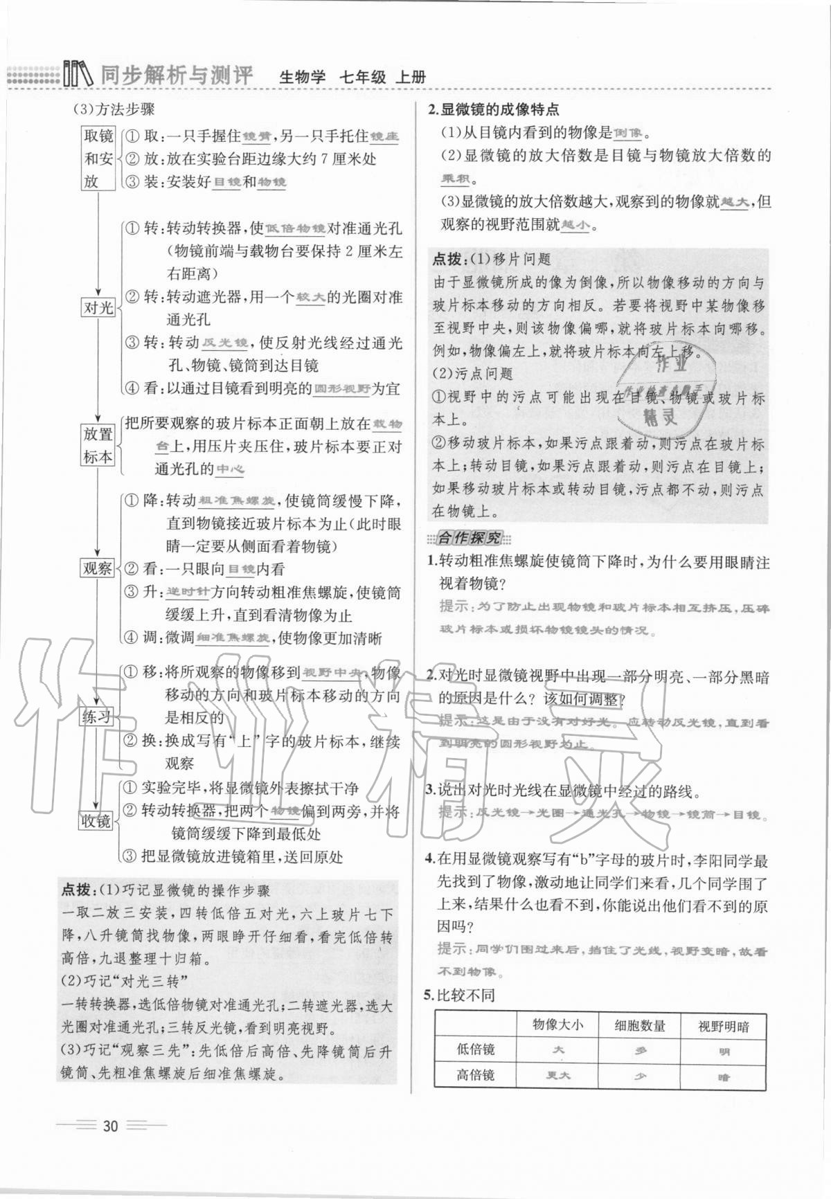 2020年人教金学典同步解析与测评七年级生物学上册人教版云南专版 第30页