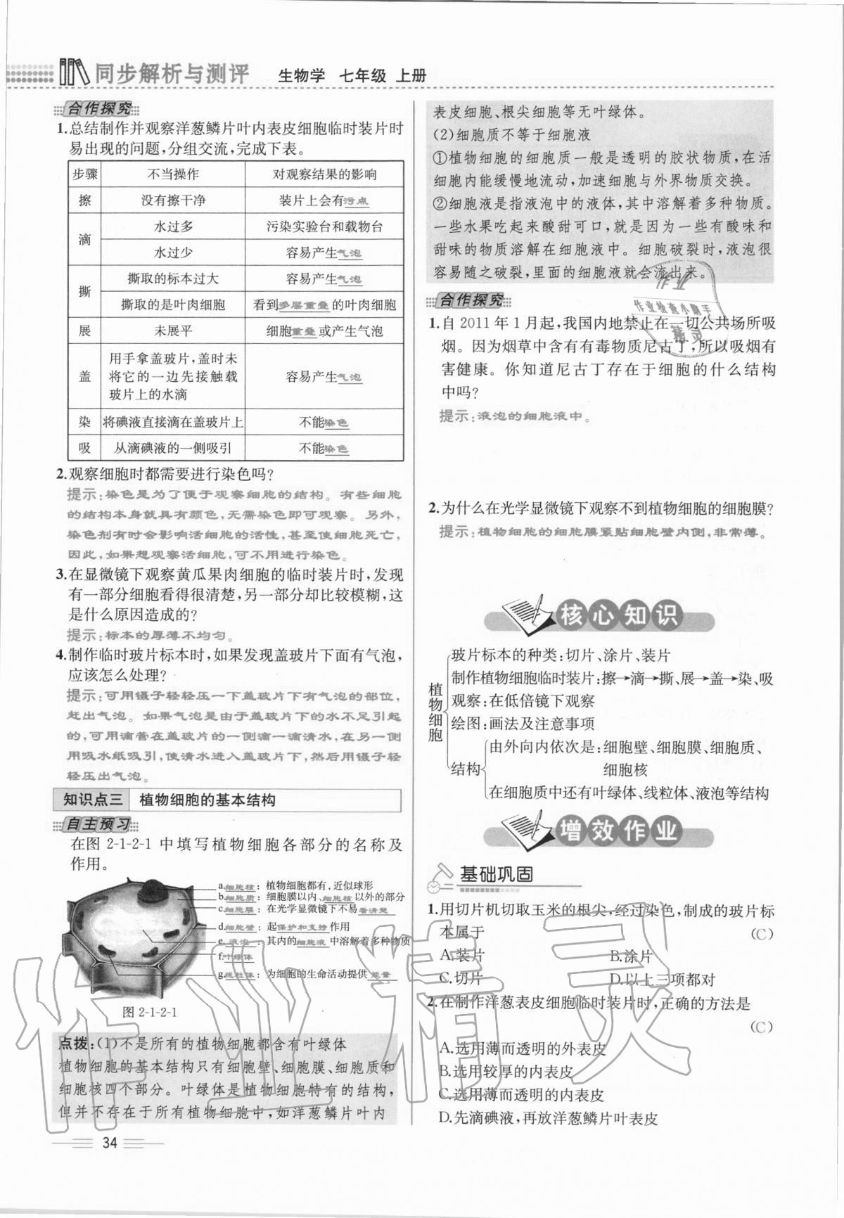 2020年人教金学典同步解析与测评七年级生物学上册人教版云南专版 第34页