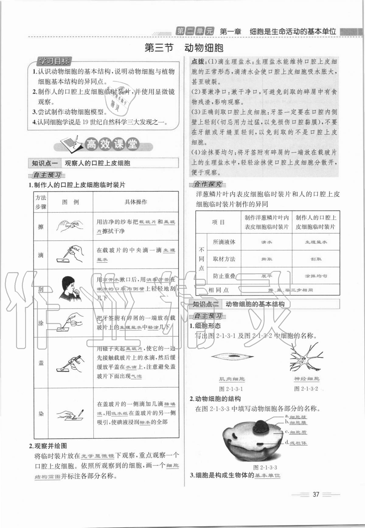 2020年人教金學(xué)典同步解析與測(cè)評(píng)七年級(jí)生物學(xué)上冊(cè)人教版云南專版 第37頁