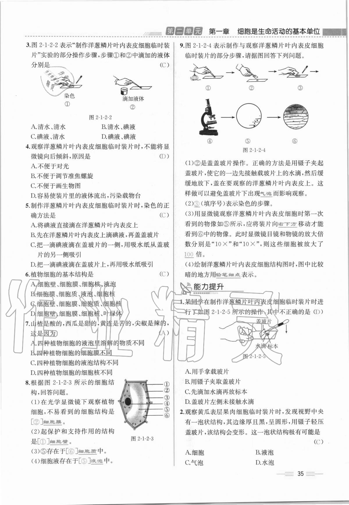 2020年人教金學(xué)典同步解析與測評七年級生物學(xué)上冊人教版云南專版 第35頁