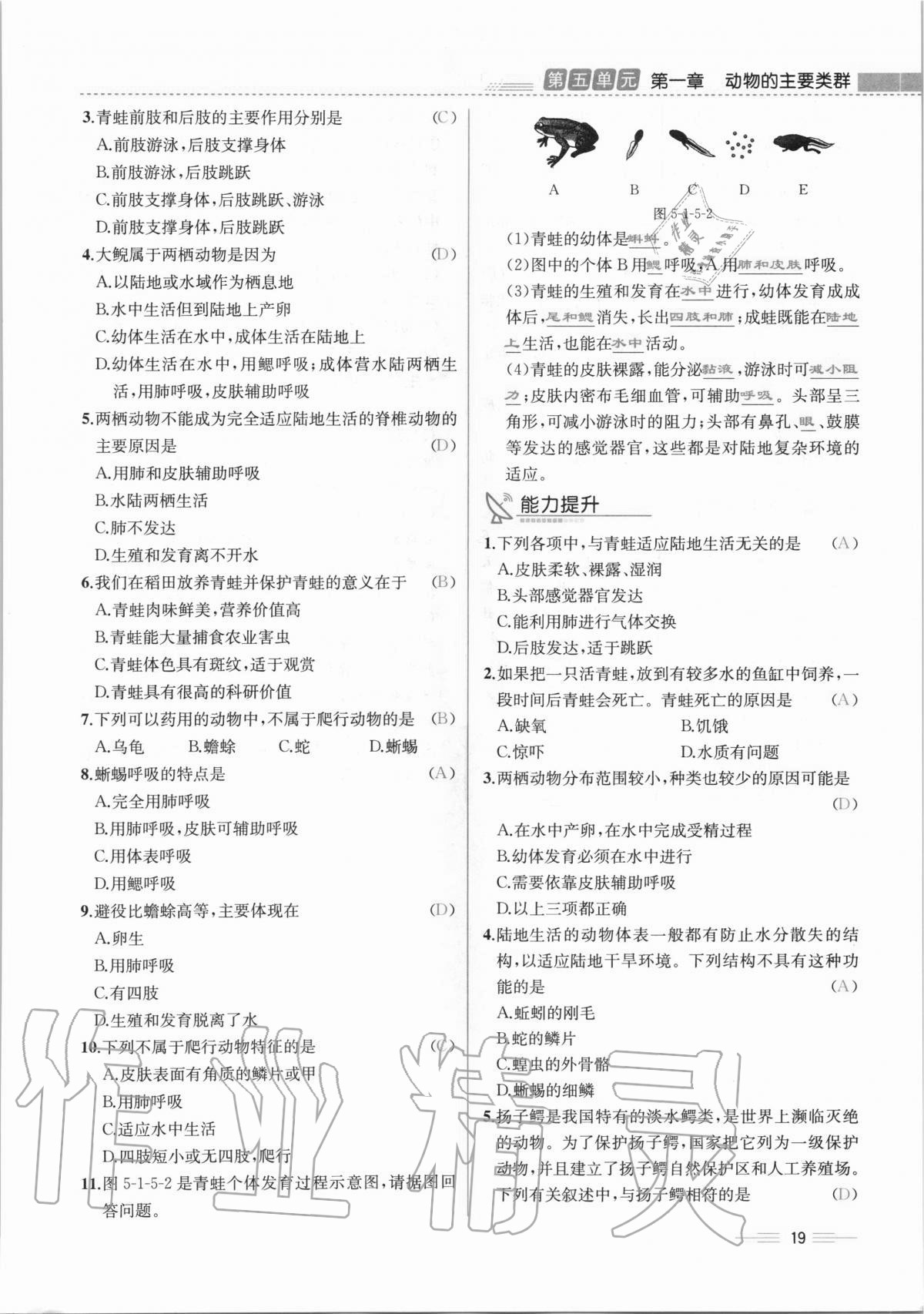 2020年人教金學典同步解析與測評八年級生物學上冊人教版云南專版 第19頁