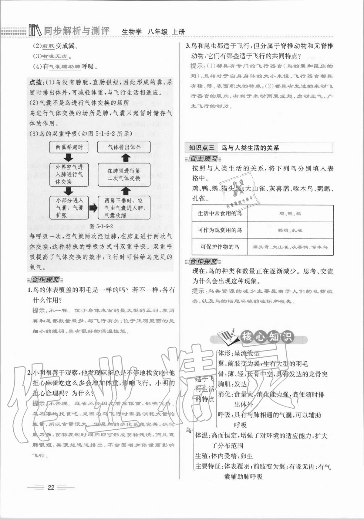 2020年人教金学典同步解析与测评八年级生物学上册人教版云南专版 第22页