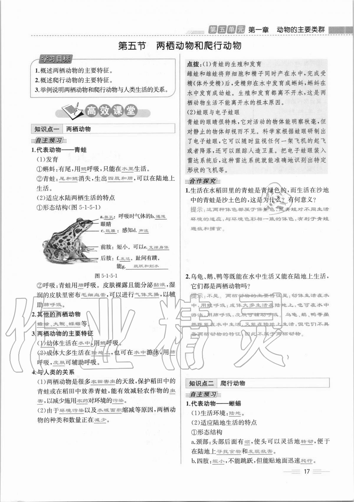 2020年人教金学典同步解析与测评八年级生物学上册人教版云南专版 第17页