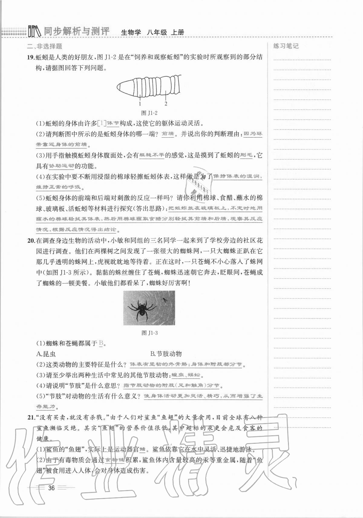 2020年人教金学典同步解析与测评八年级生物学上册人教版云南专版 第36页