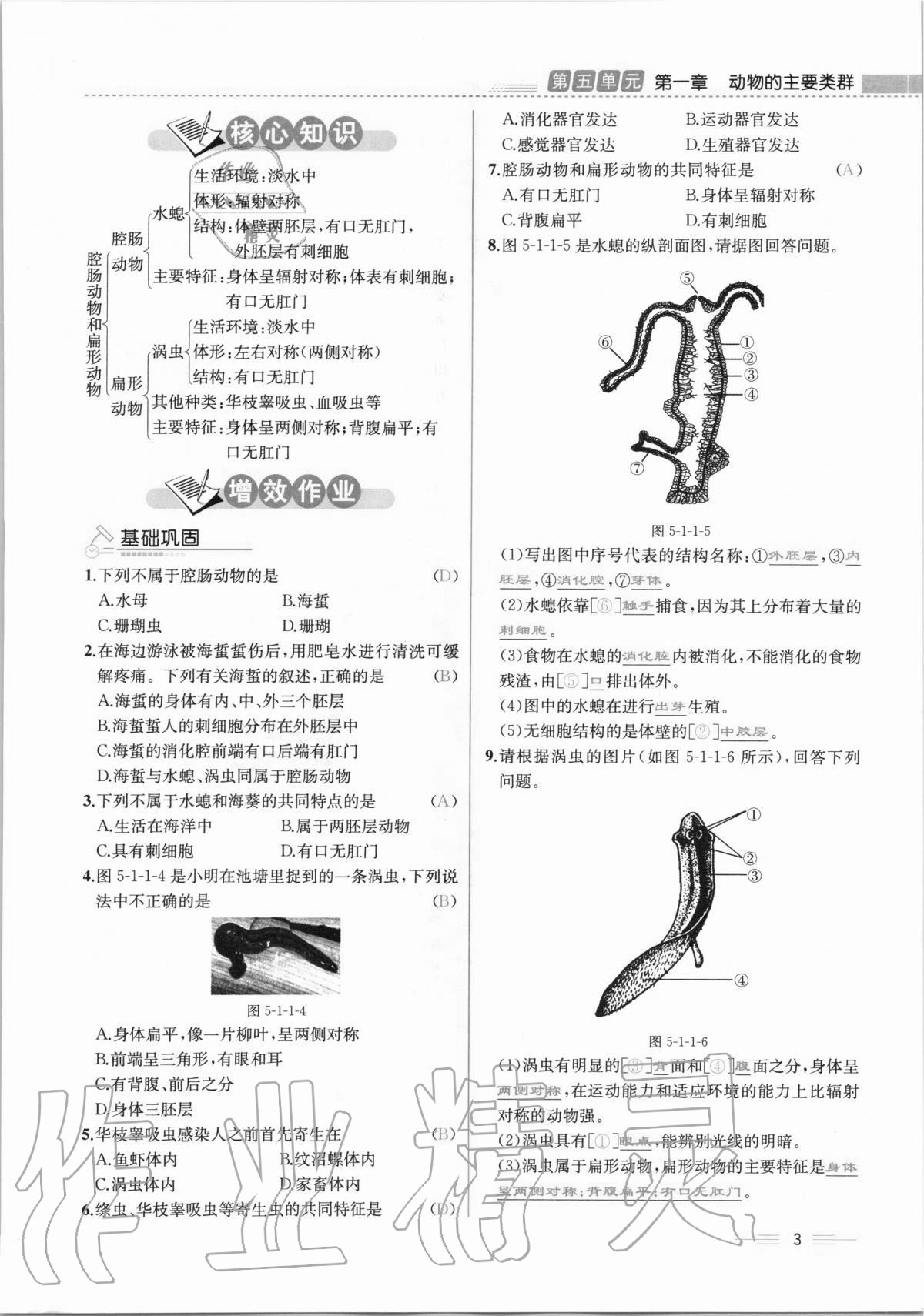 2020年人教金学典同步解析与测评八年级生物学上册人教版云南专版 第3页