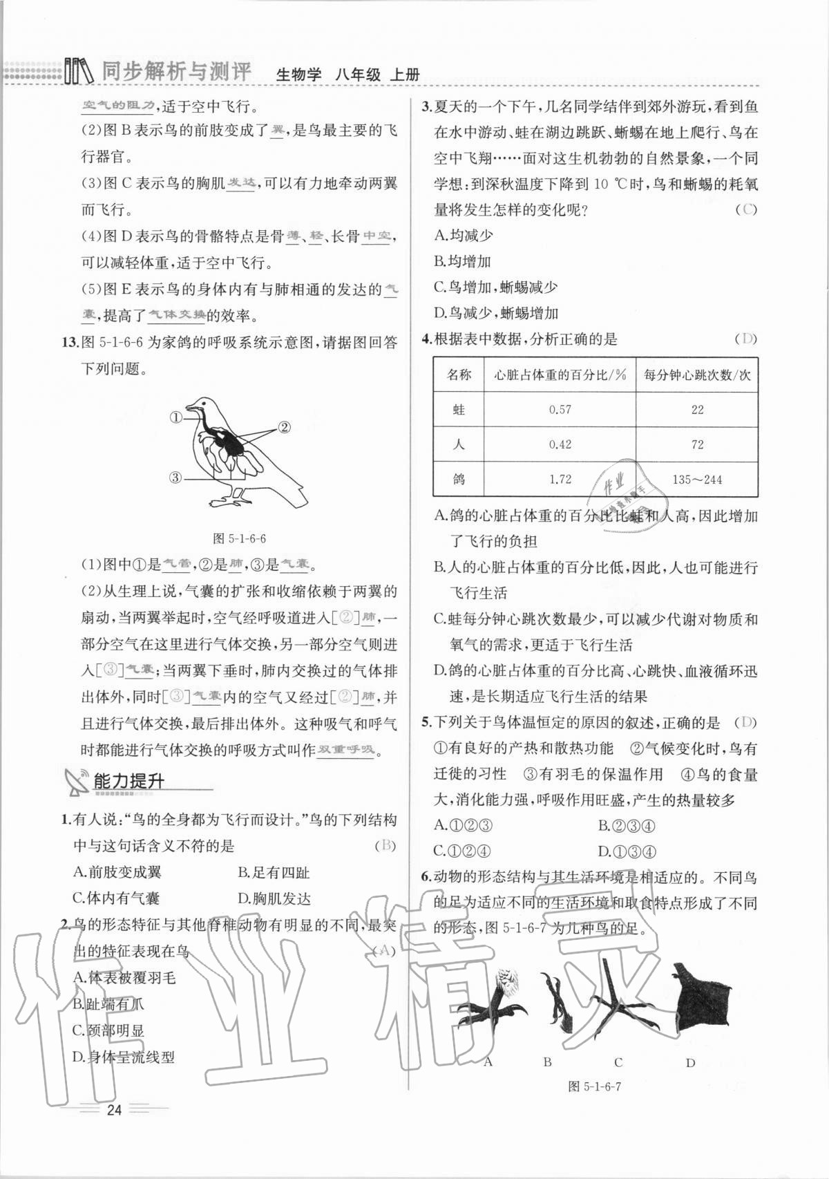 2020年人教金學(xué)典同步解析與測評八年級生物學(xué)上冊人教版云南專版 第24頁