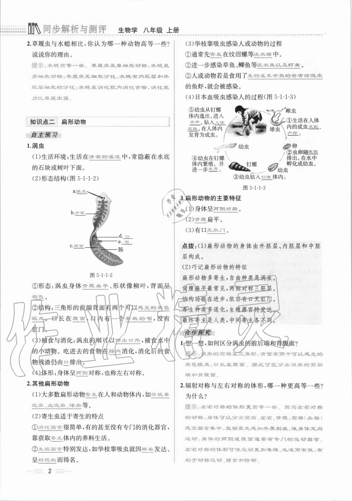 2020年人教金学典同步解析与测评八年级生物学上册人教版云南专版 第2页