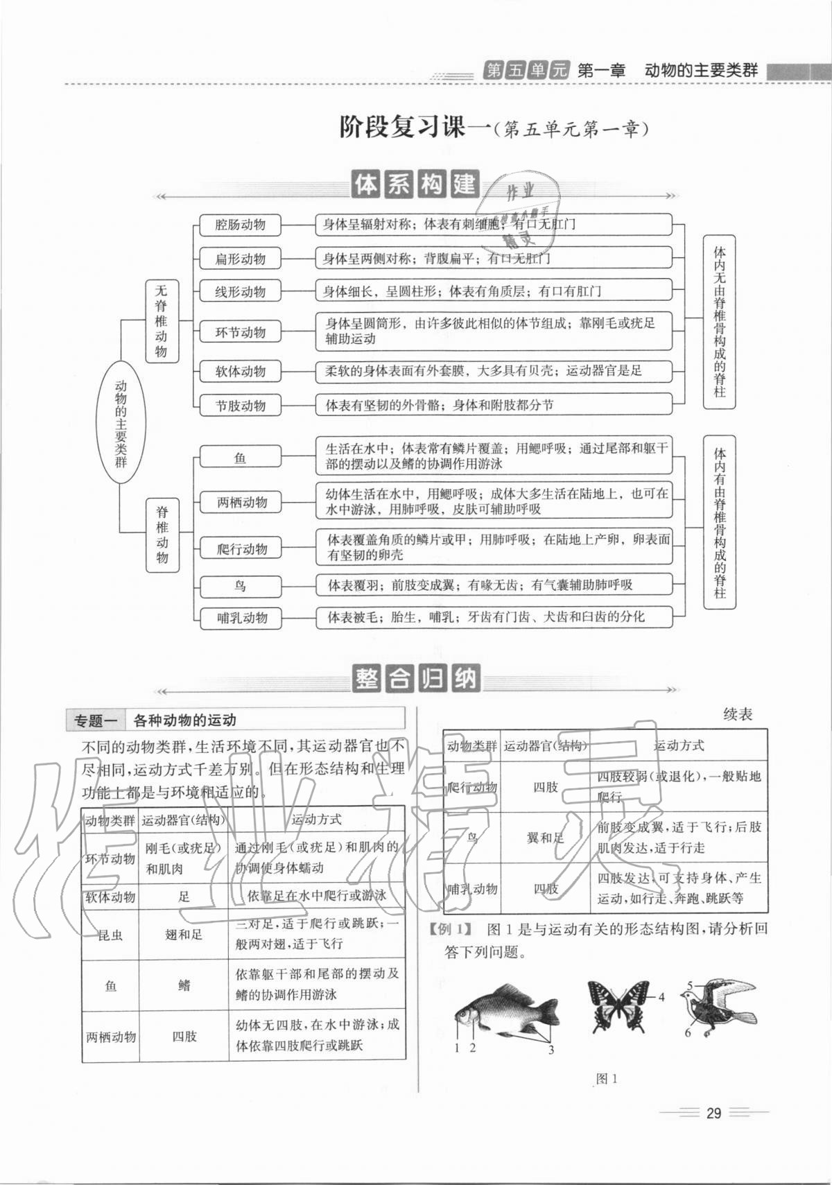 2020年人教金学典同步解析与测评八年级生物学上册人教版云南专版 第29页